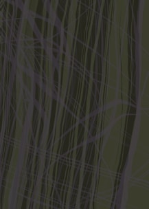 Abstract world map with fine lines and subtle financial graph overlay on an elegant dark green background.