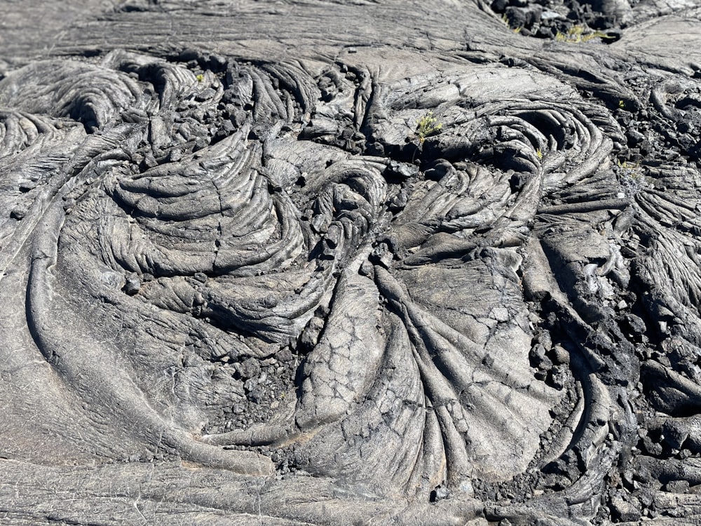 a close up of a rock formation with a lot of rocks in the background