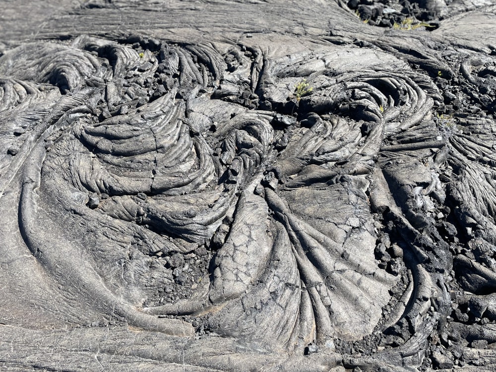 um close up de uma formação rochosa com um monte de rochas no fundo