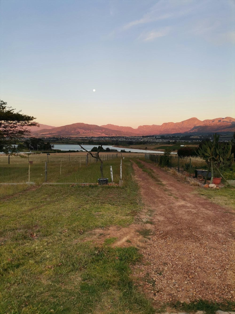 a dirt road in a field with mountains in the background