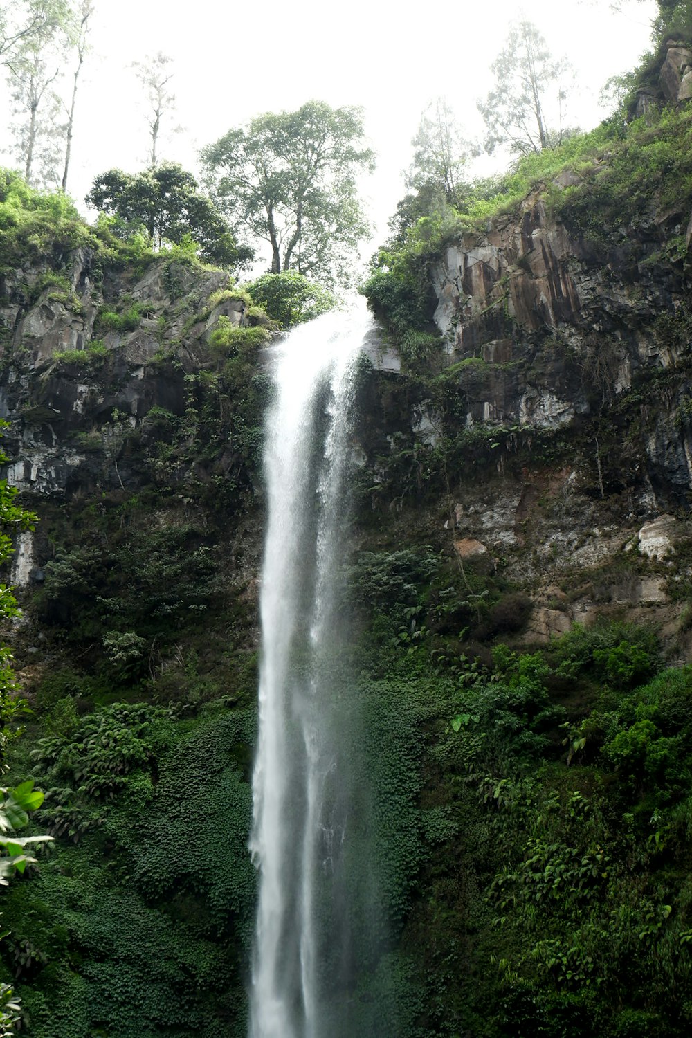 a large waterfall in the middle of a forest