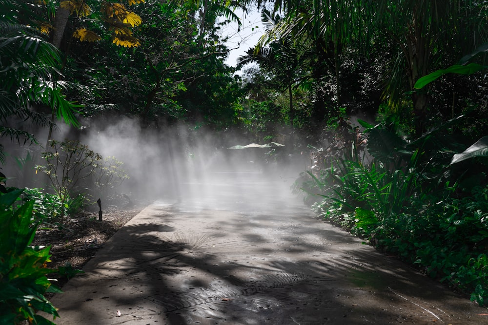 a small waterfall in the middle of a forest