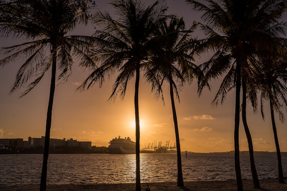 the sun is setting behind palm trees on the beach