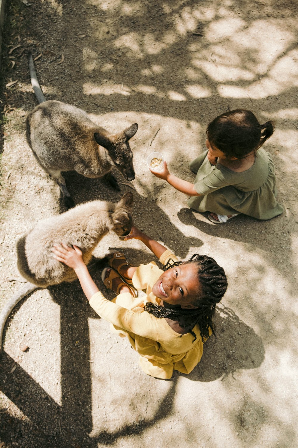 a little girl petting a cat on the ground