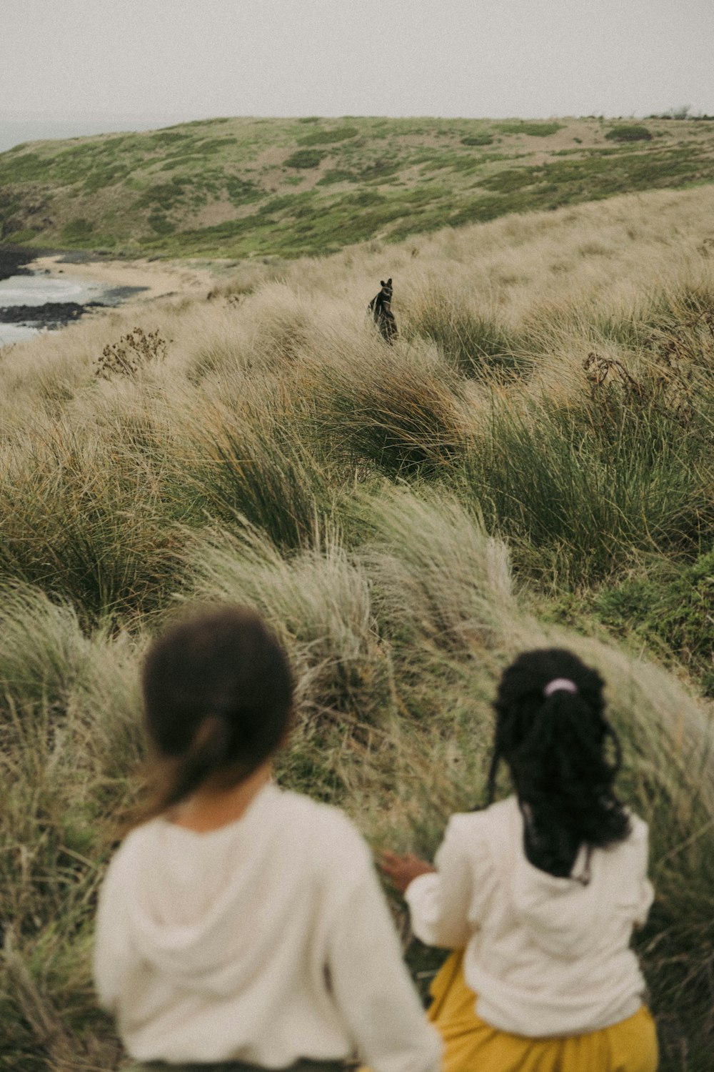 a couple of people that are standing in the grass