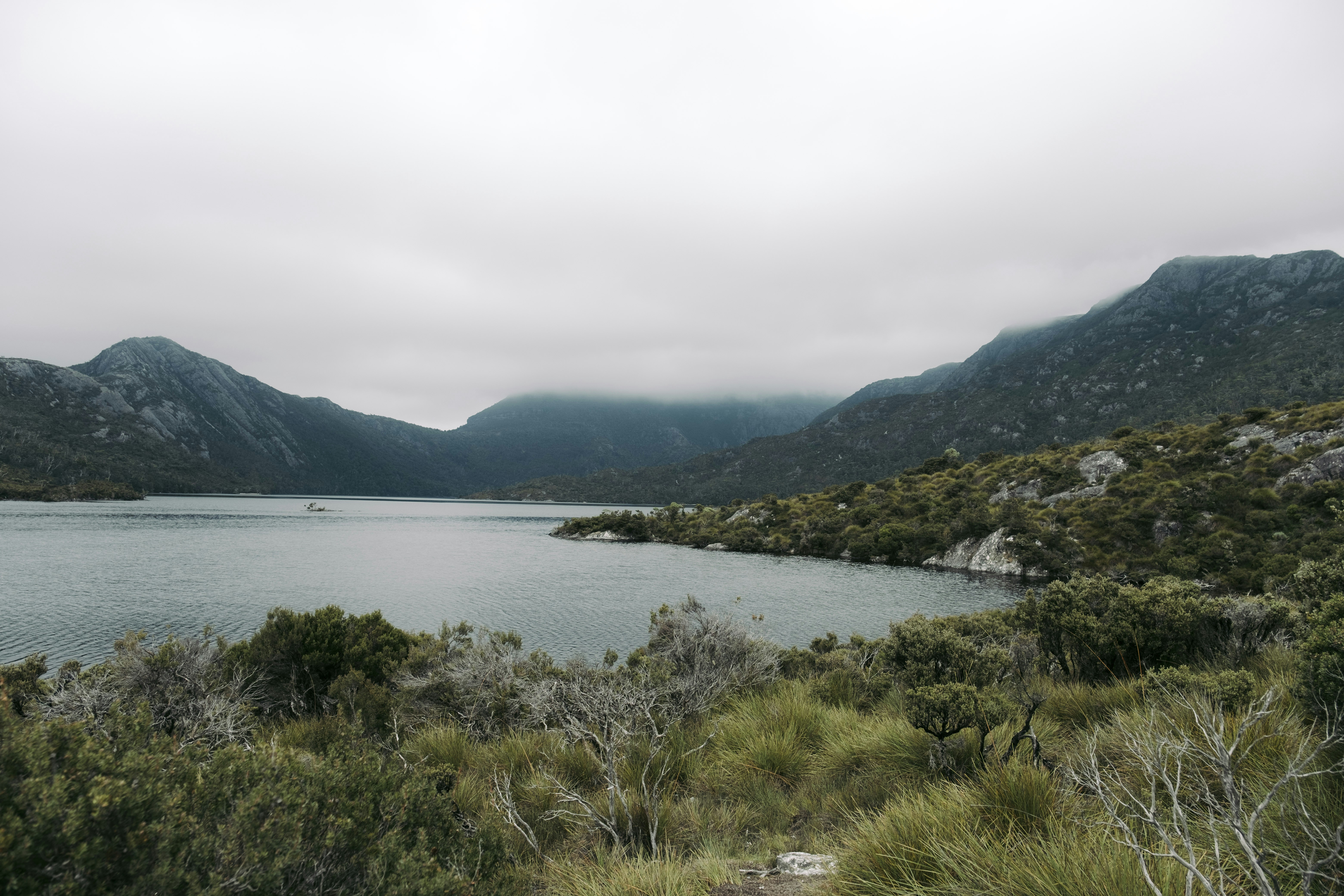 Photo by colinandmeg