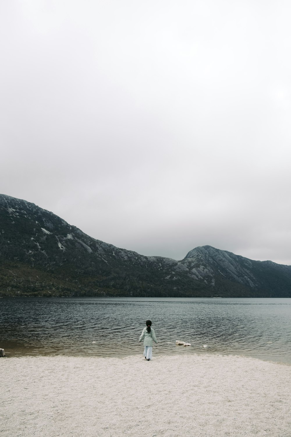 a person standing on a beach near a body of water