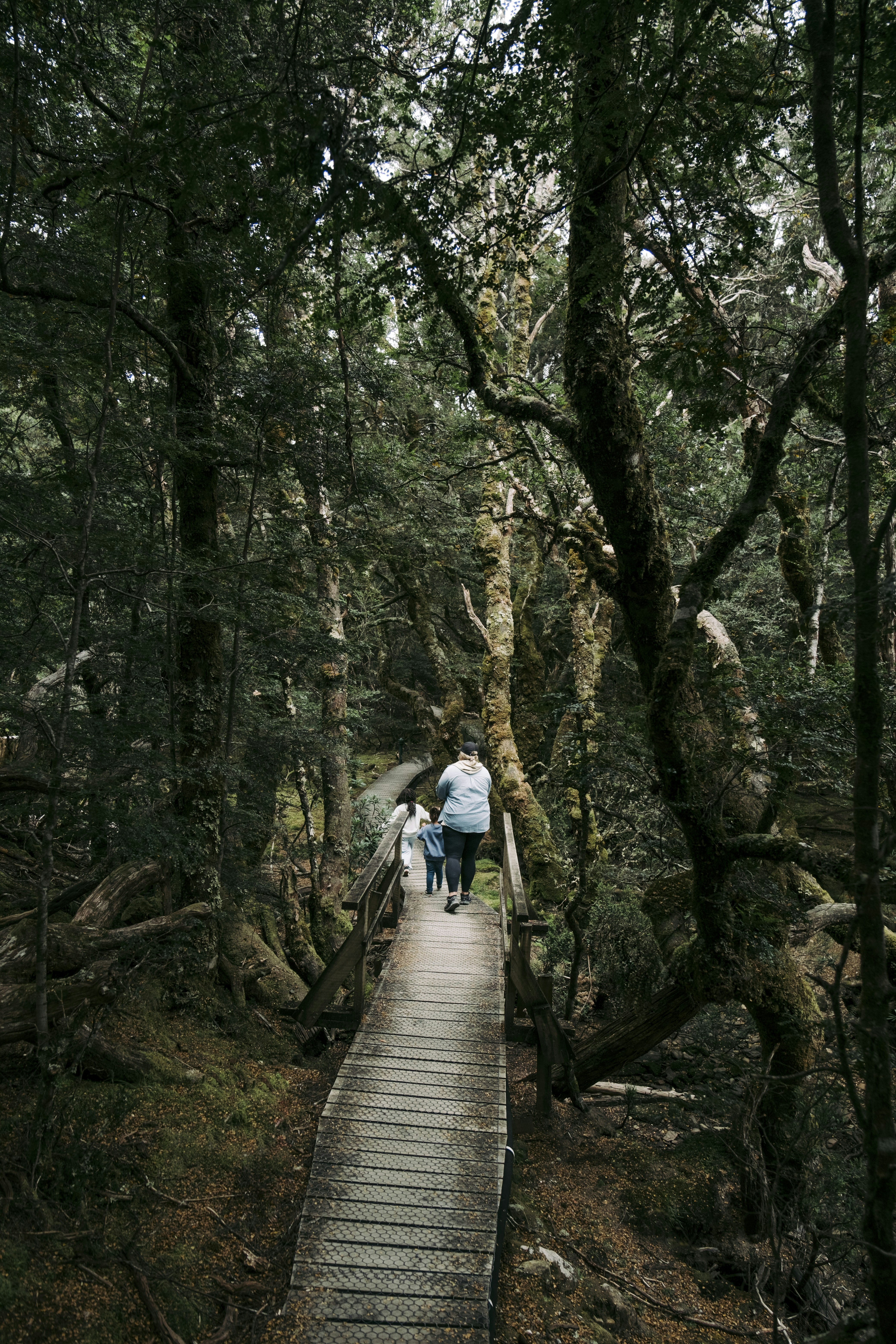 Photo by colinandmeg