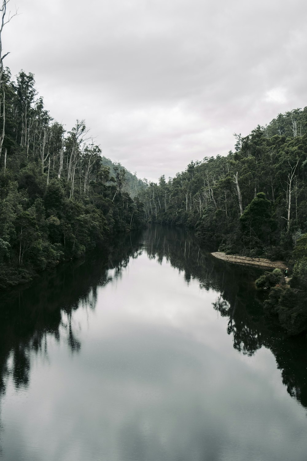 a body of water surrounded by trees on a cloudy day