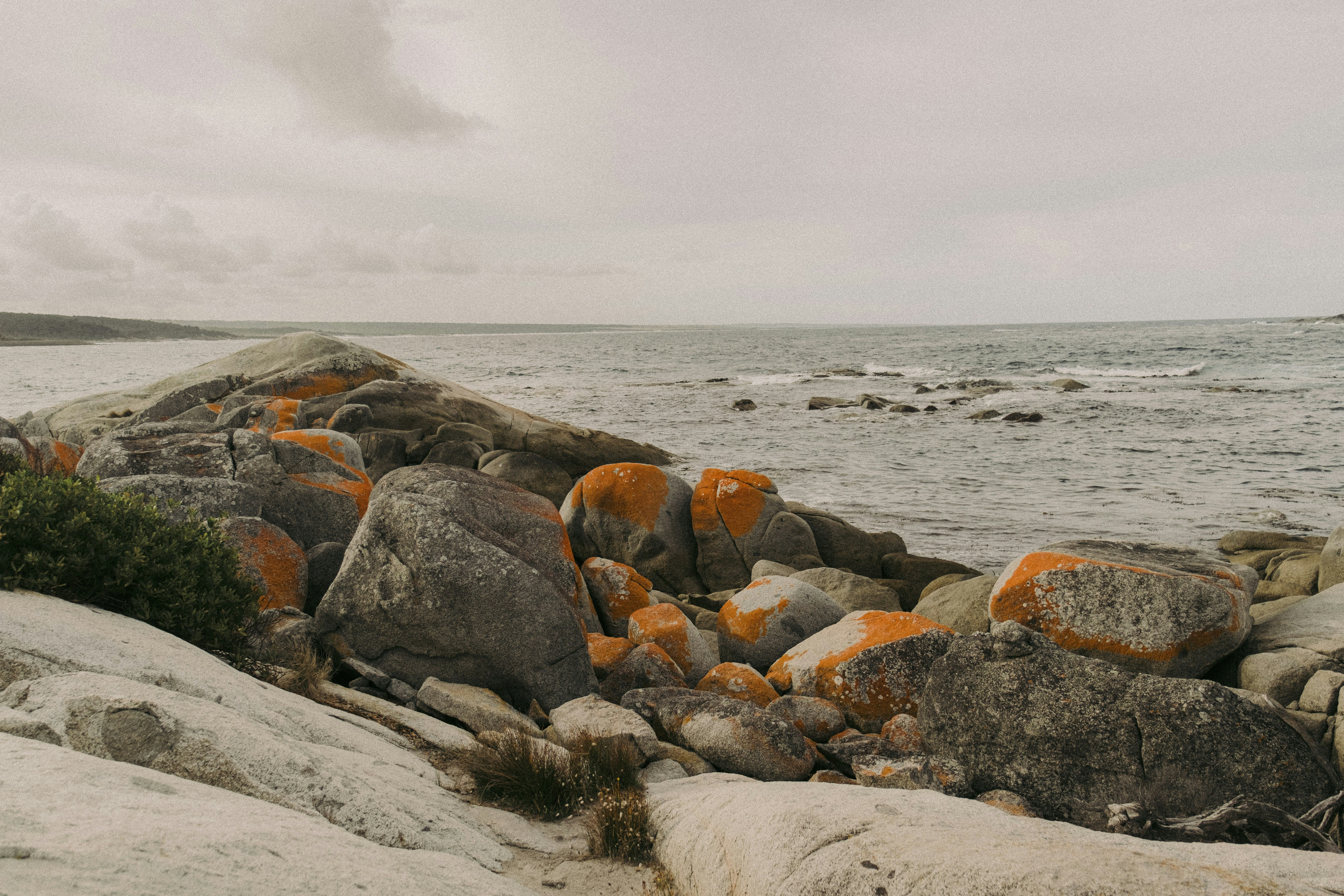 Photo by colinandmeg