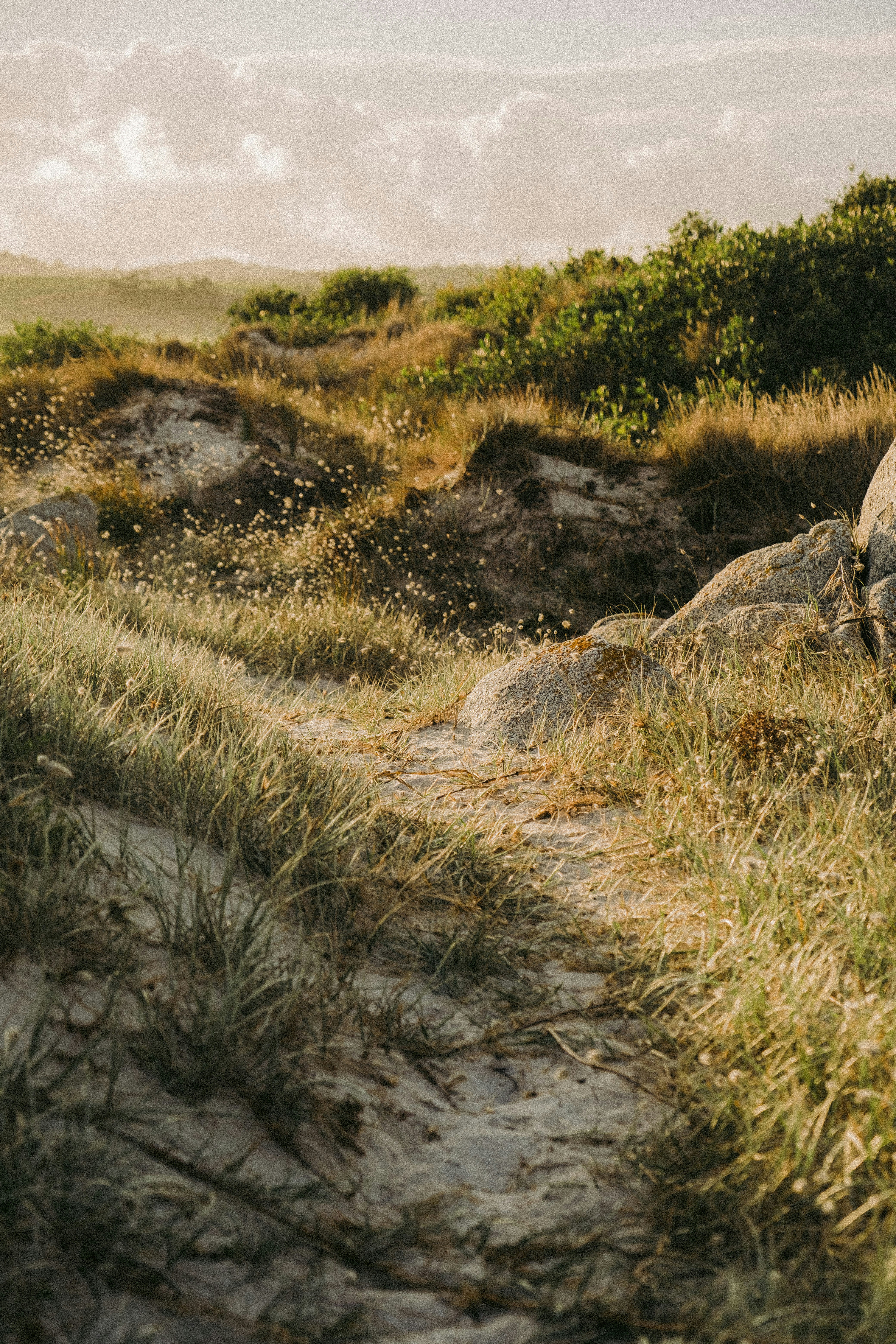 Photo by colinandmeg