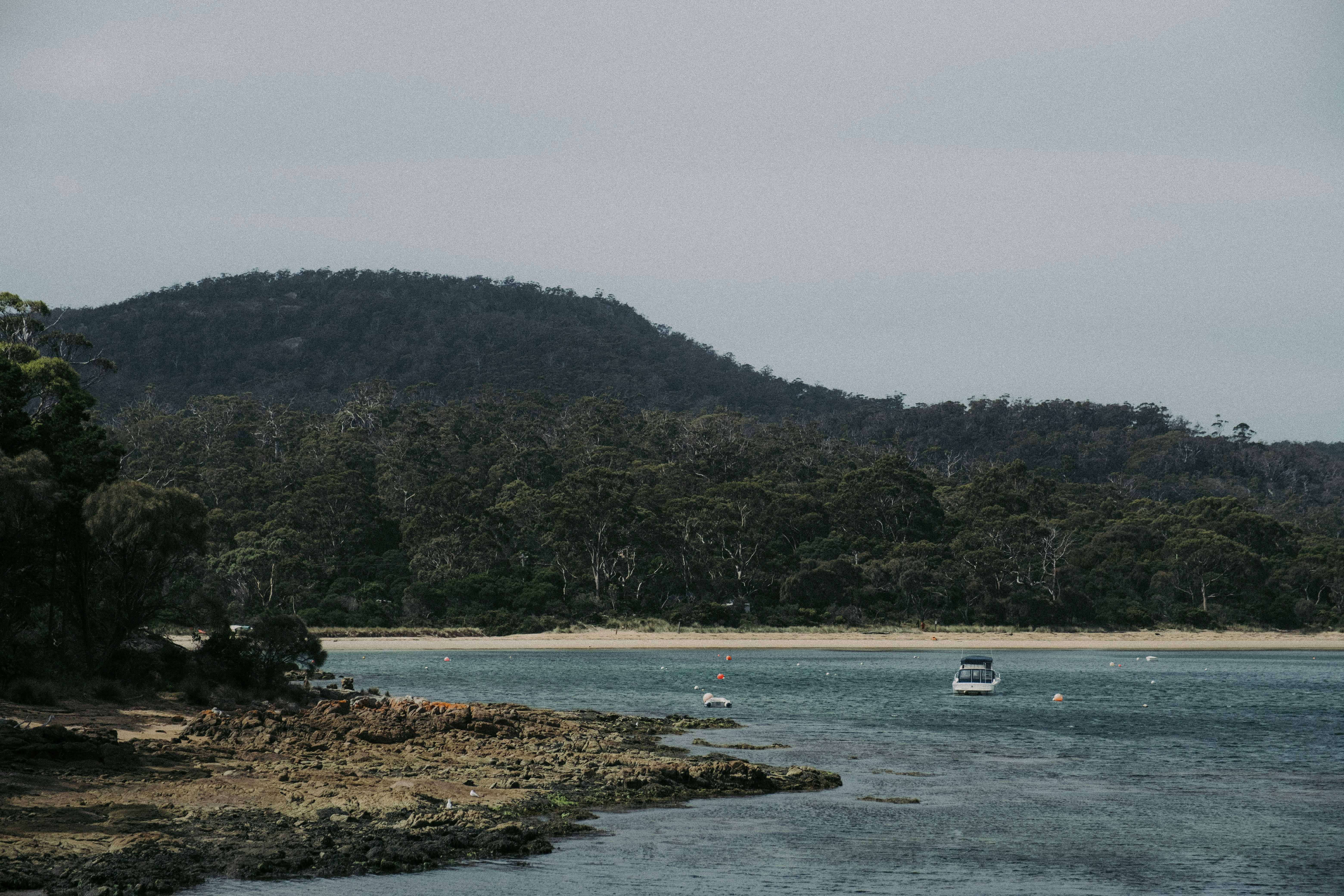 Photo by colinandmeg