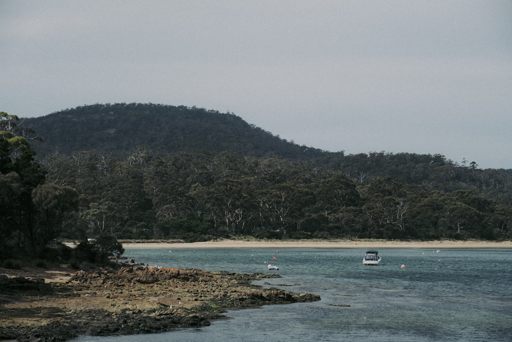 a boat floating on top of a body of water