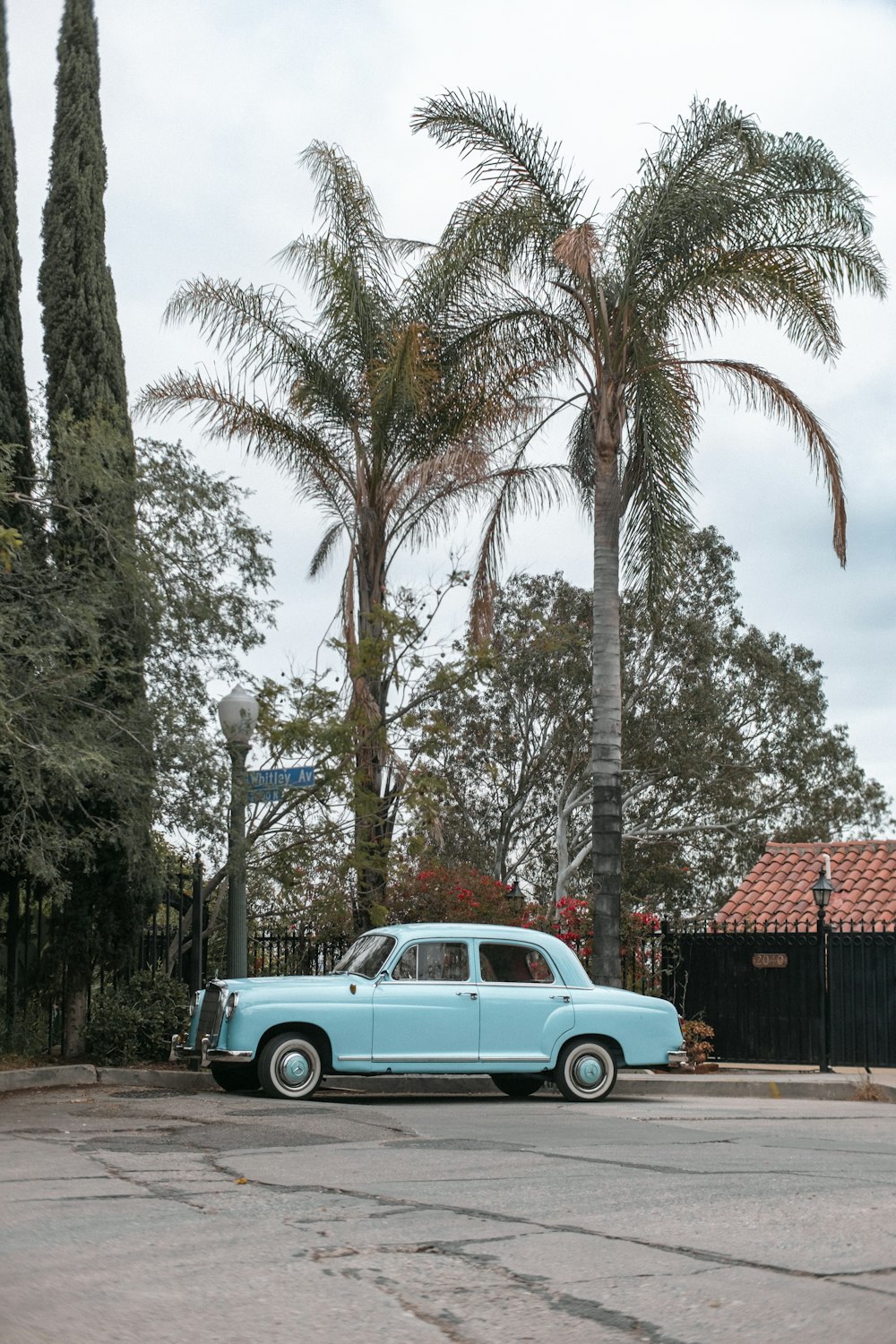 a blue car parked in front of a palm tree