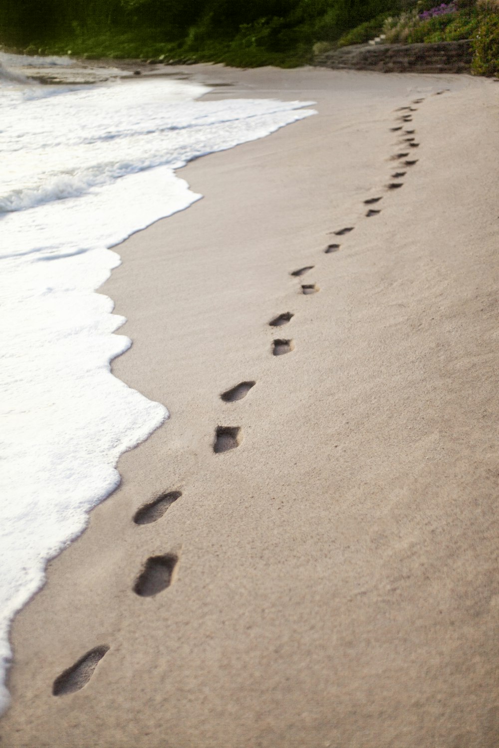 un groupe d’empreintes de pas qui sont dans le sable