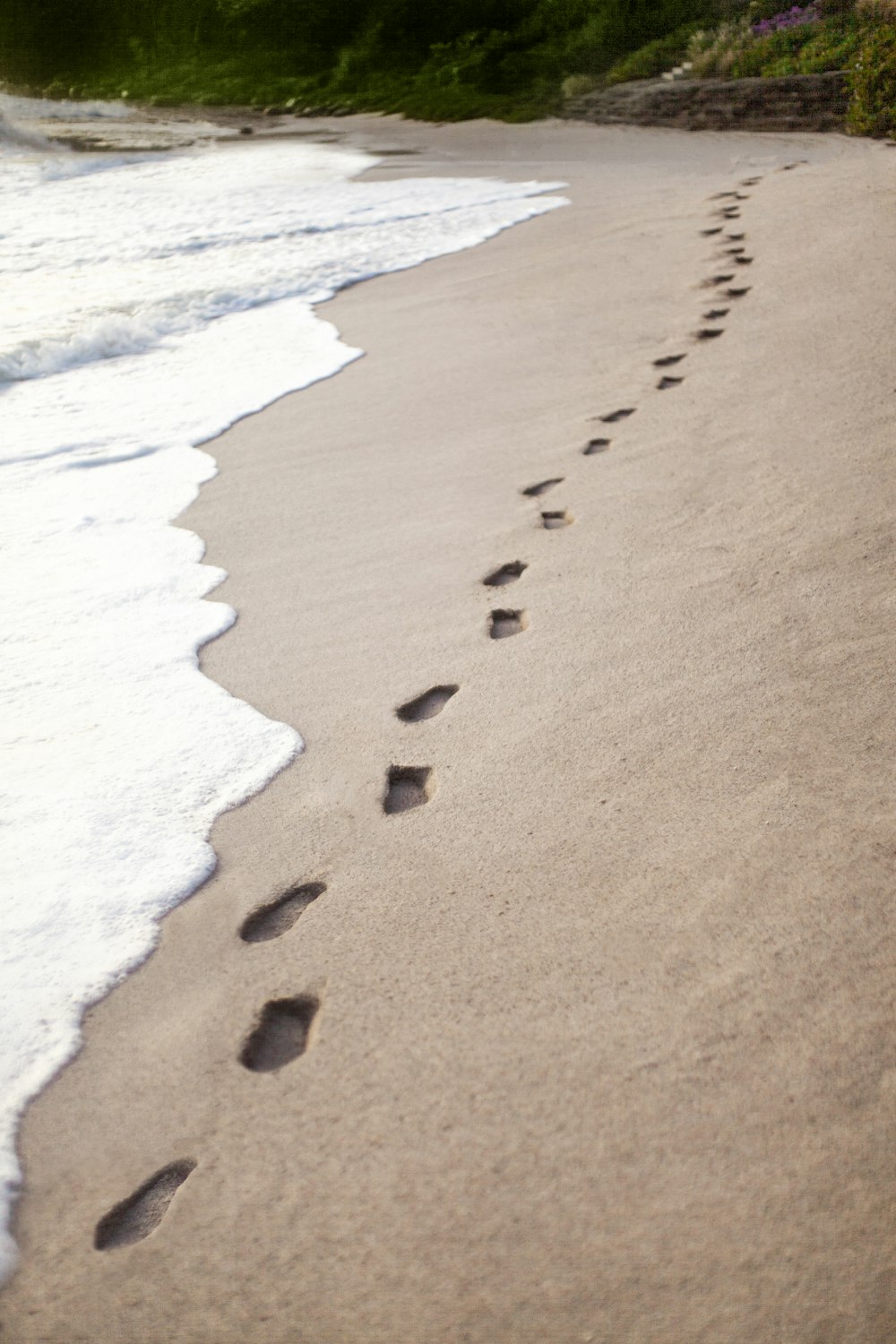 a group of footprints that are in the sand