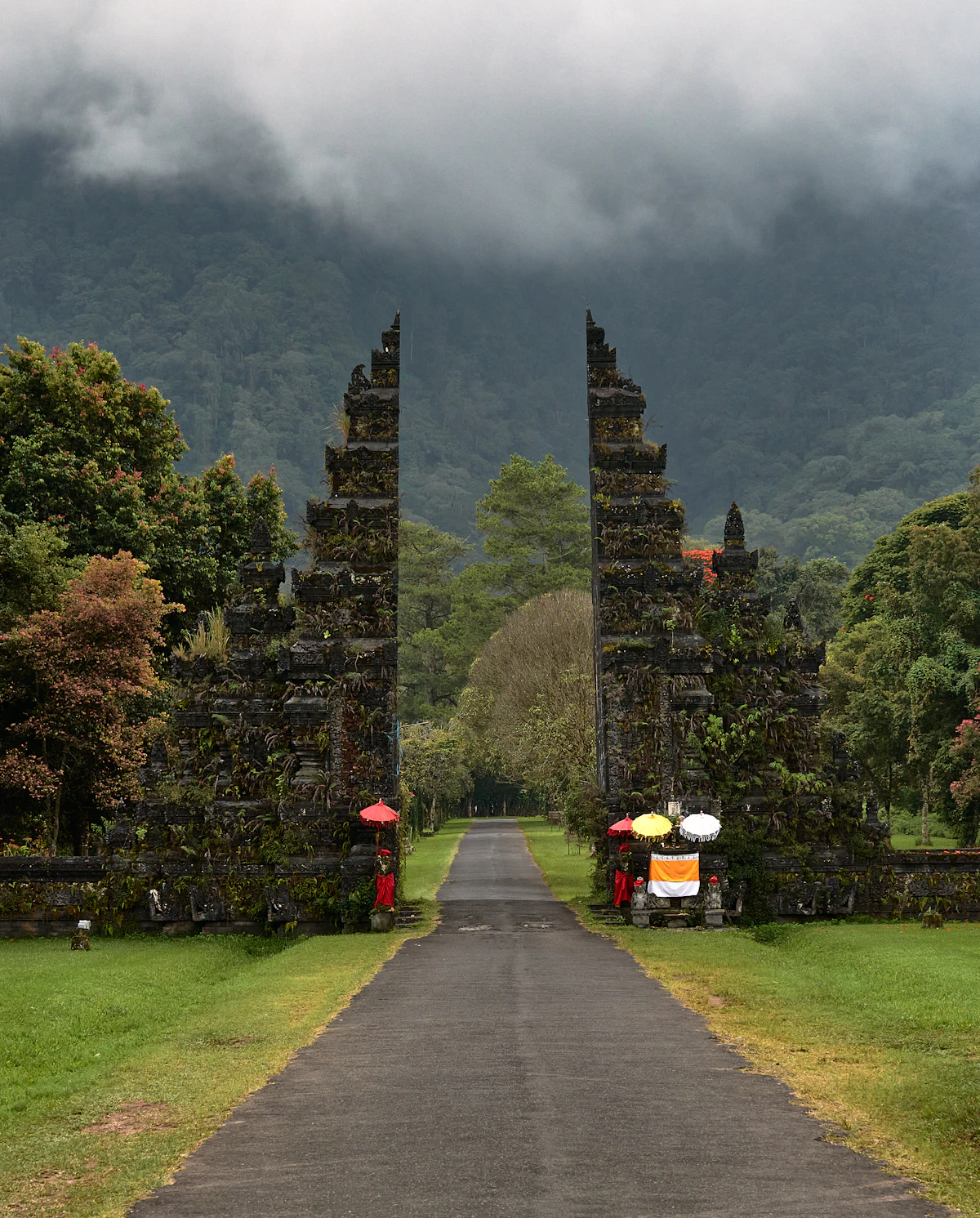 Bali Botanic Garden Bedugul & Treetop Canopy Walk