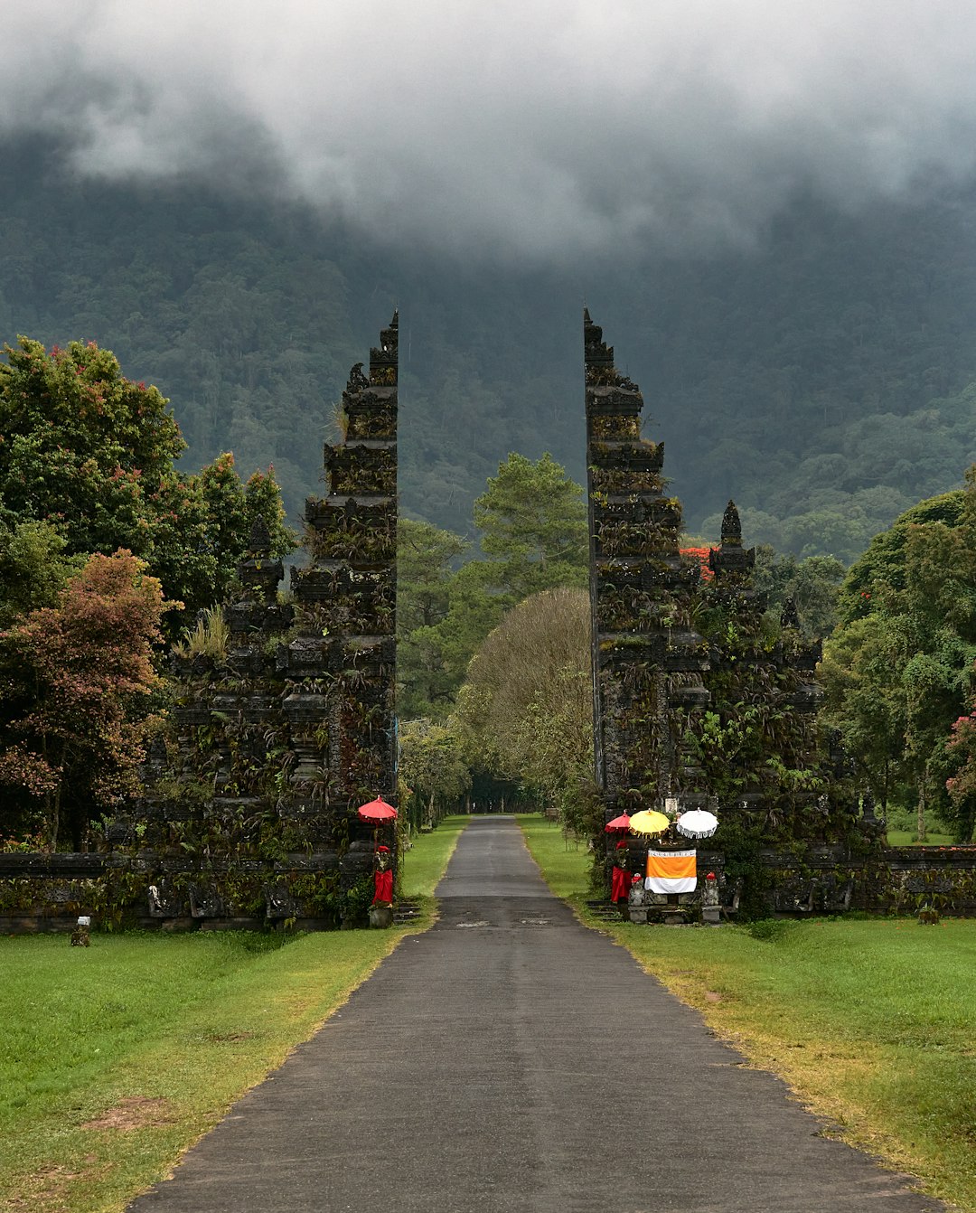 Highland photo spot Bali Ubud