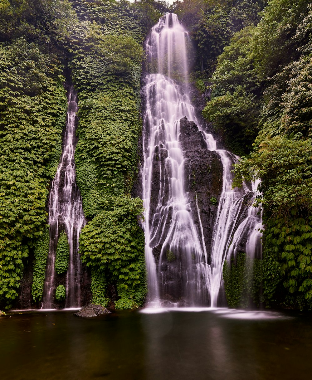Una cascada en medio de un frondoso bosque verde