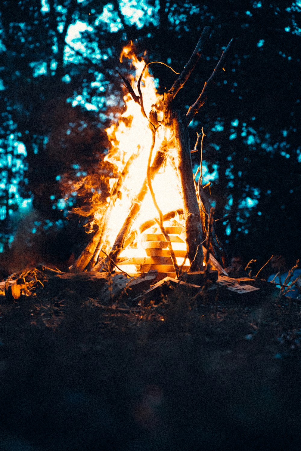 a campfire in the middle of a forest at night