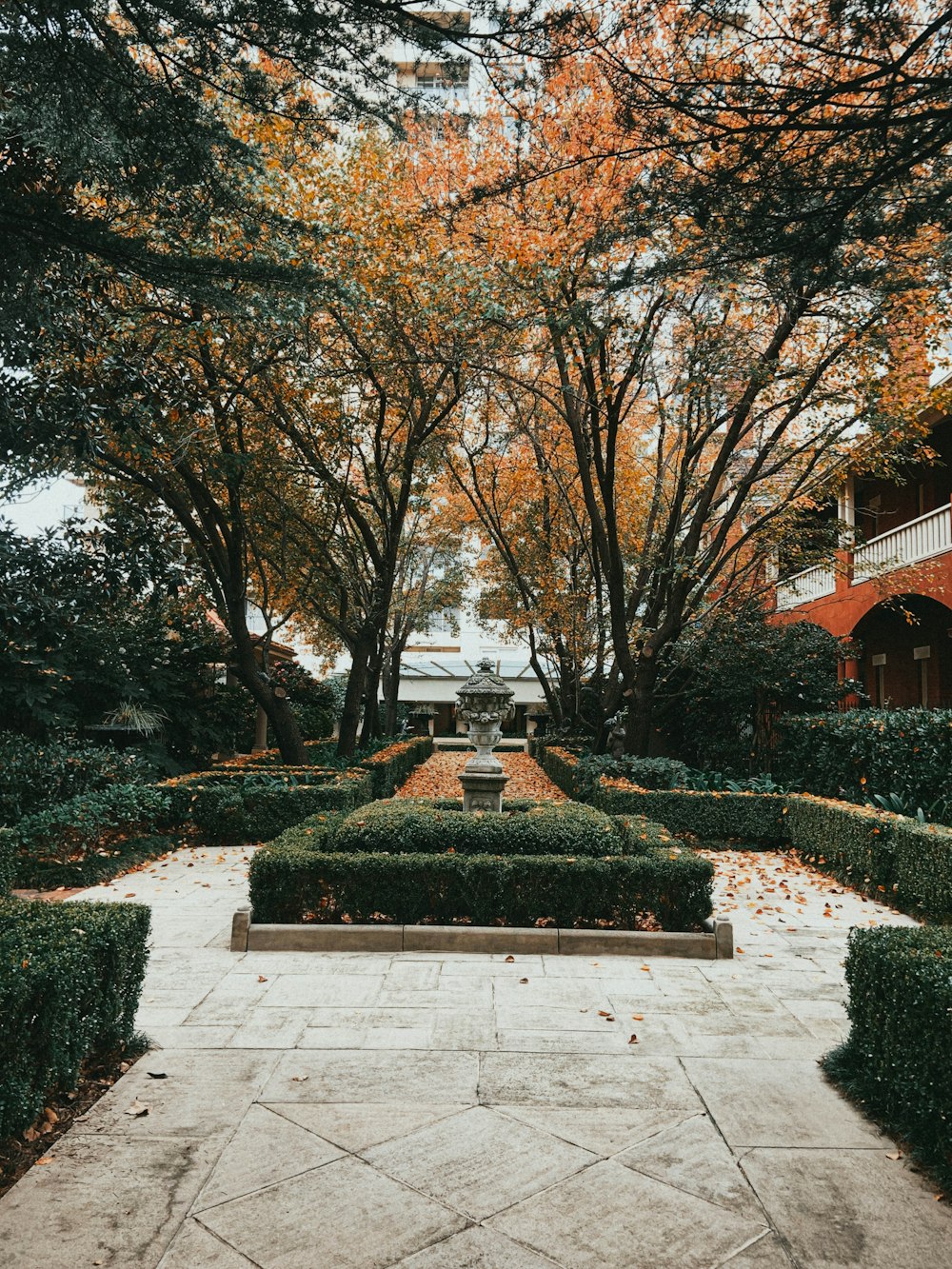 a garden with a bench in the middle of it