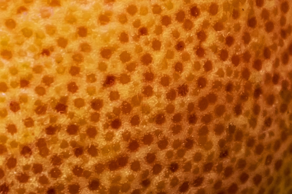 a close up view of a piece of fruit
