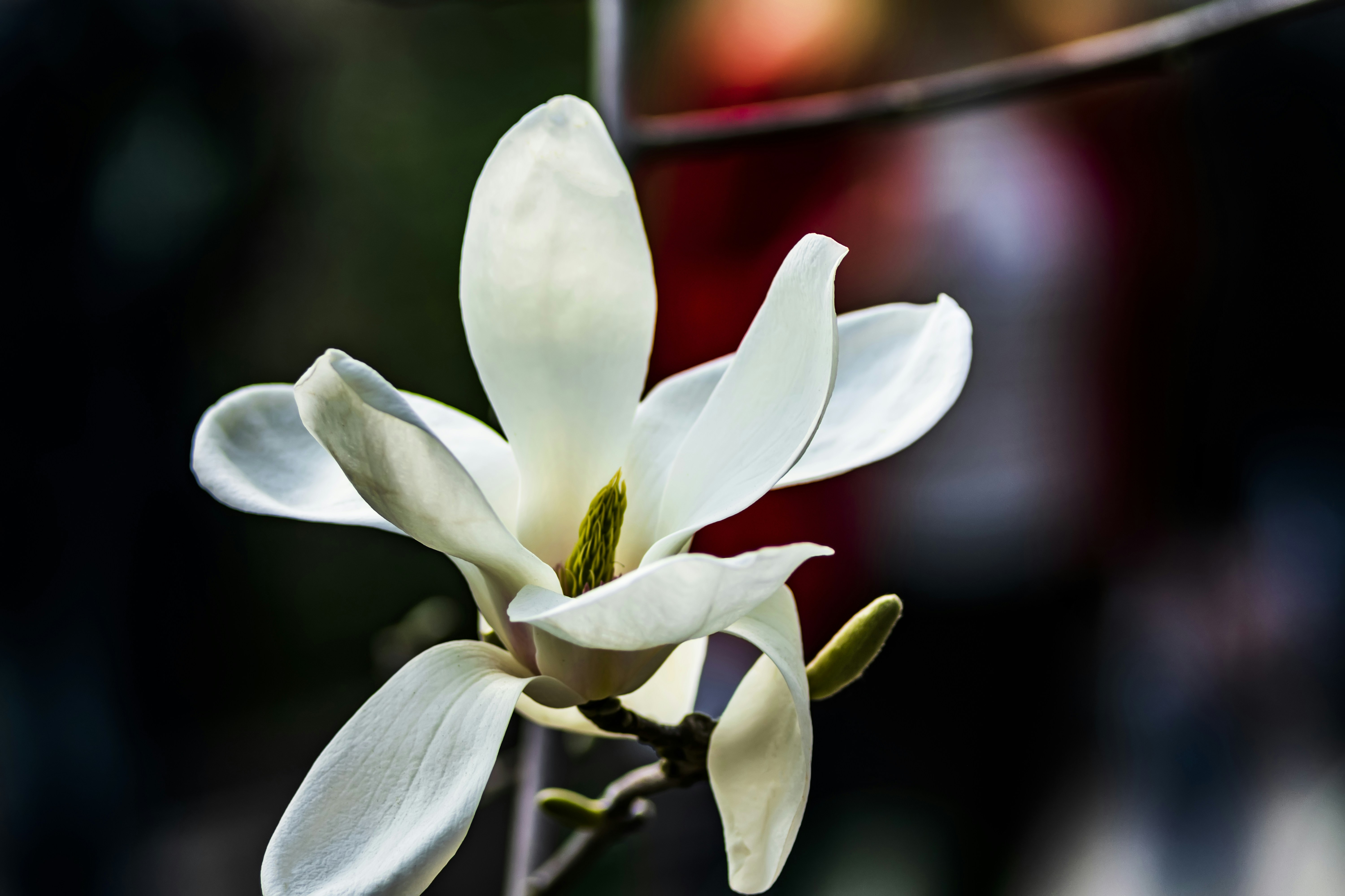 Photo by kostiantynvierkieiev