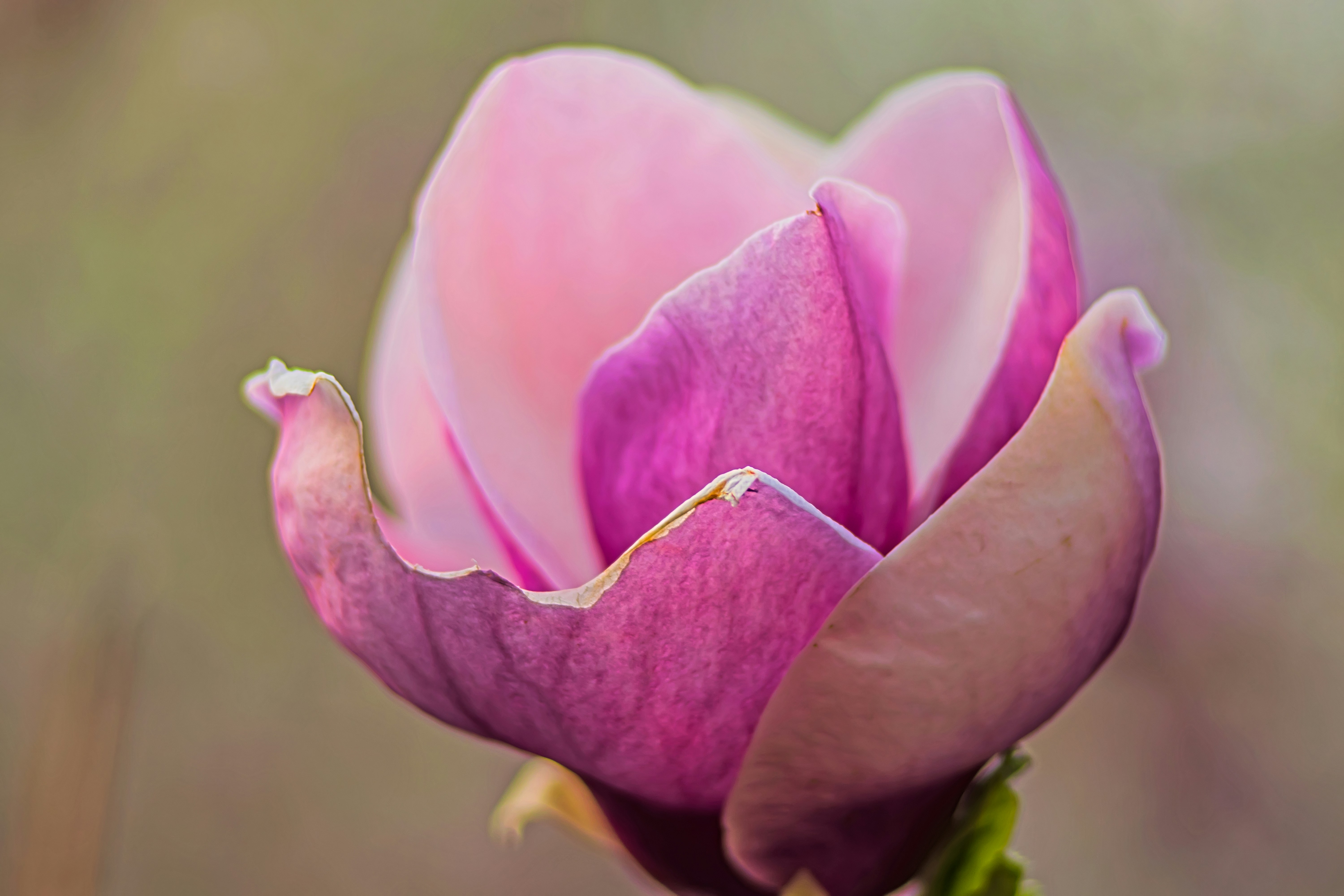 Photo by kostiantynvierkieiev