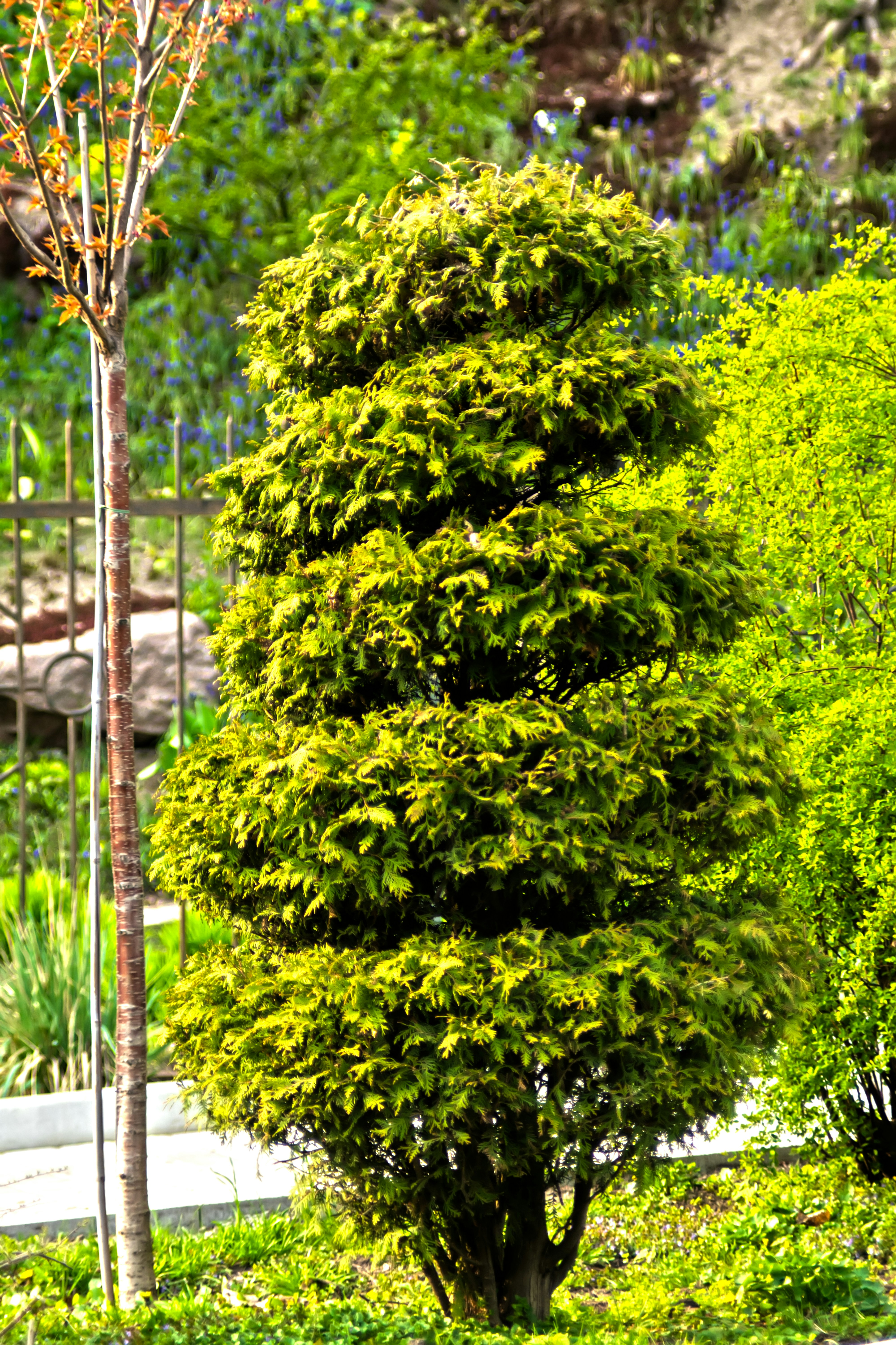 a couple of trees that are next to each other