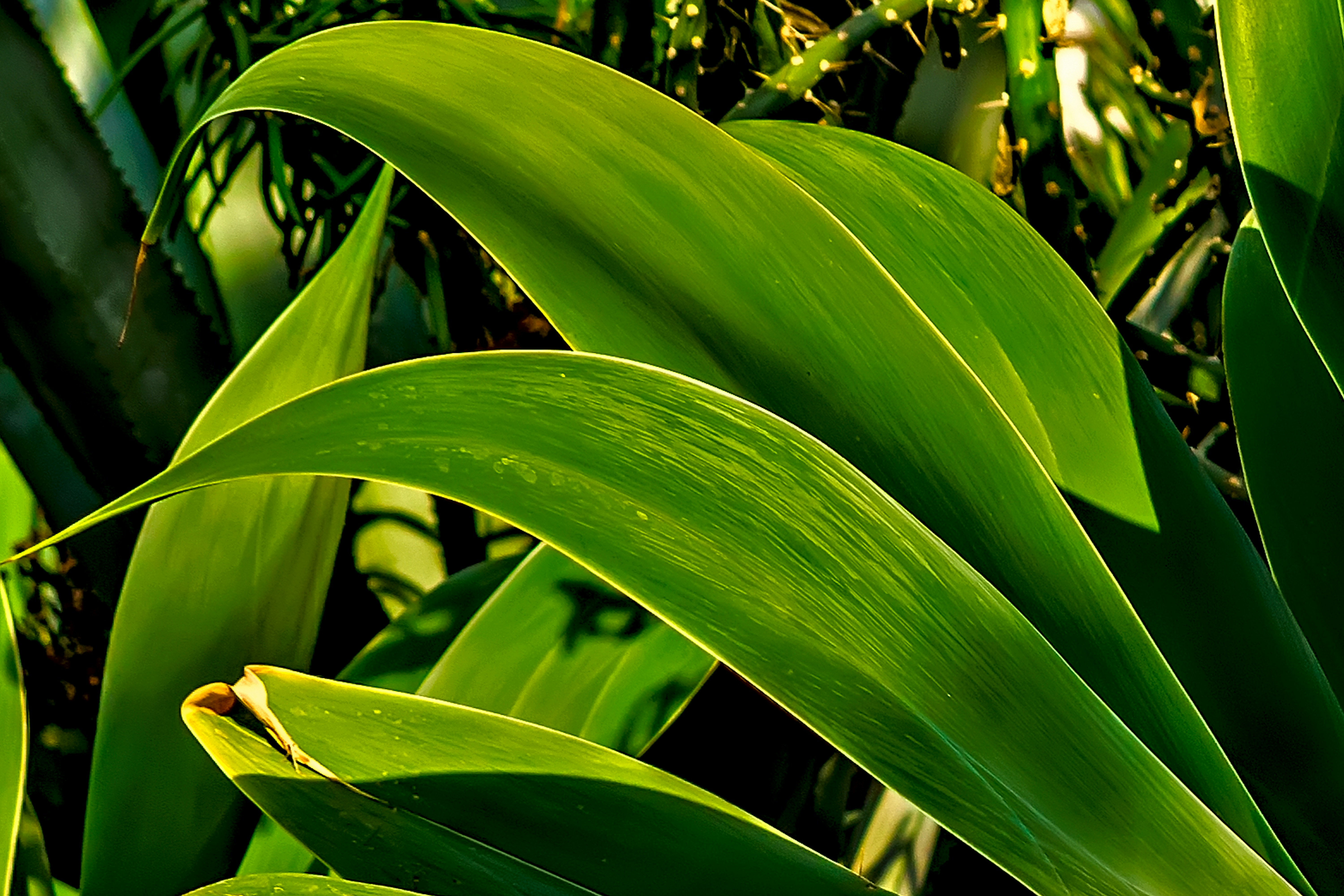 Photo by kostiantynvierkieiev