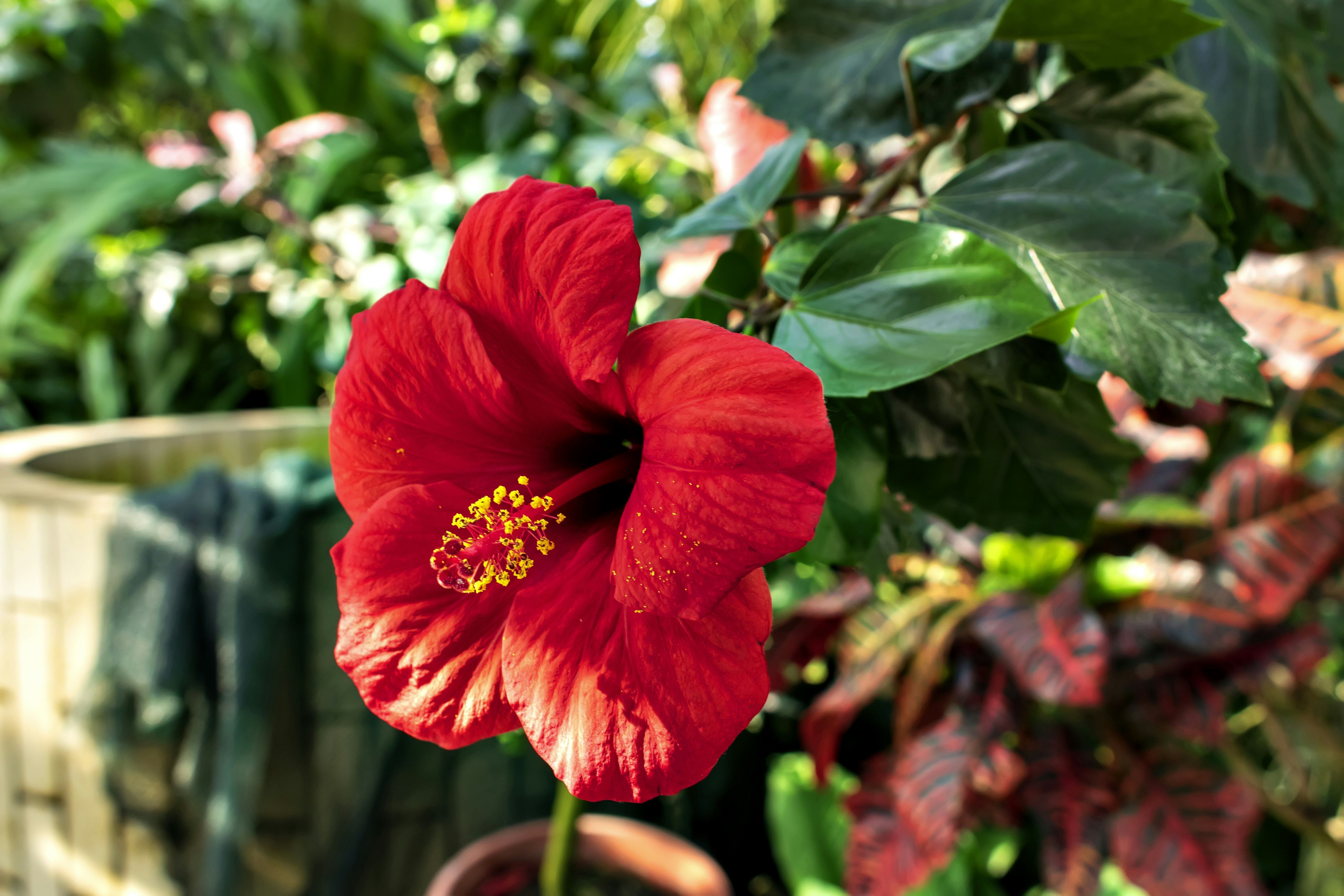 Photo by kostiantynvierkieiev