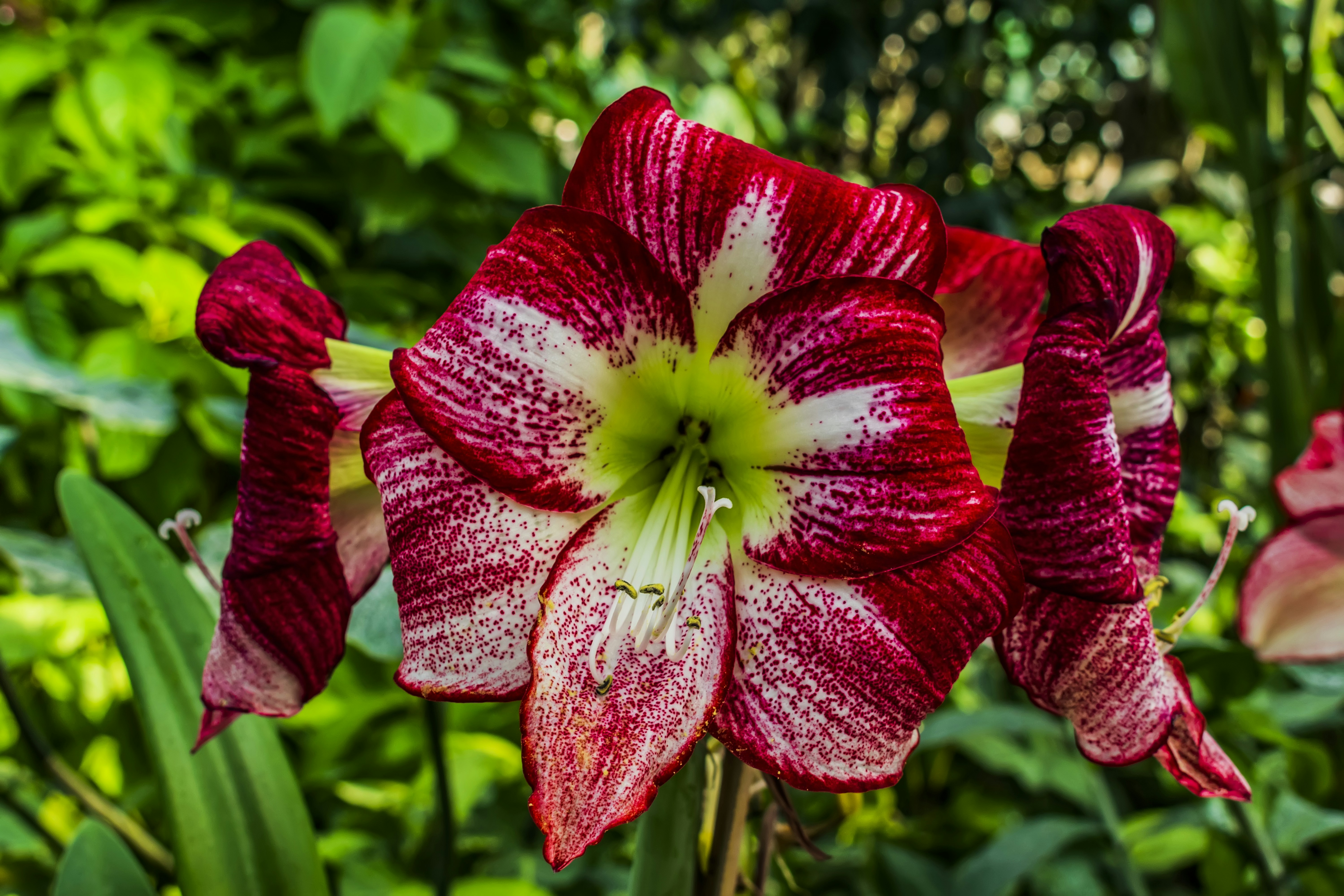 Photo by kostiantynvierkieiev