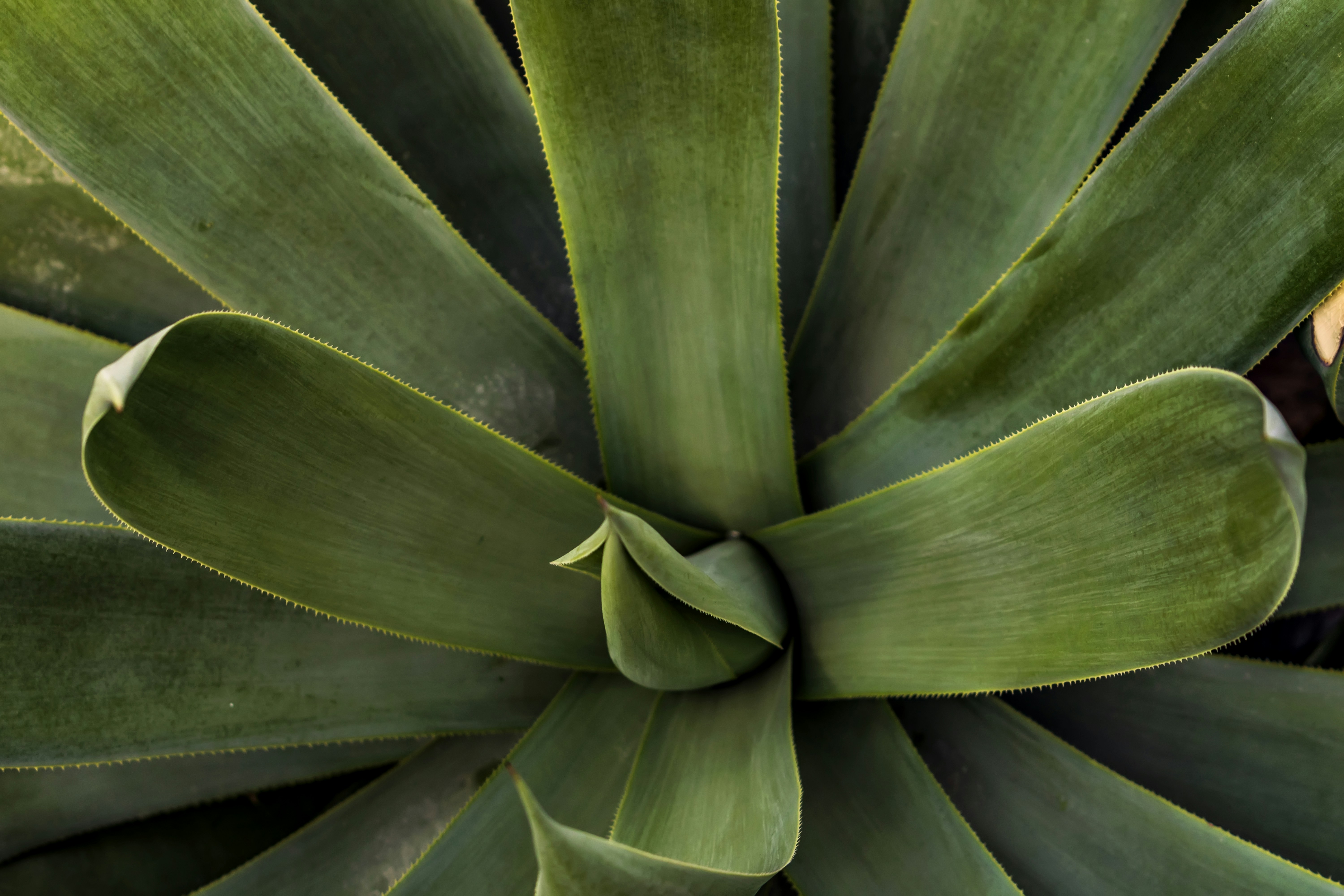 Photo by kostiantynvierkieiev