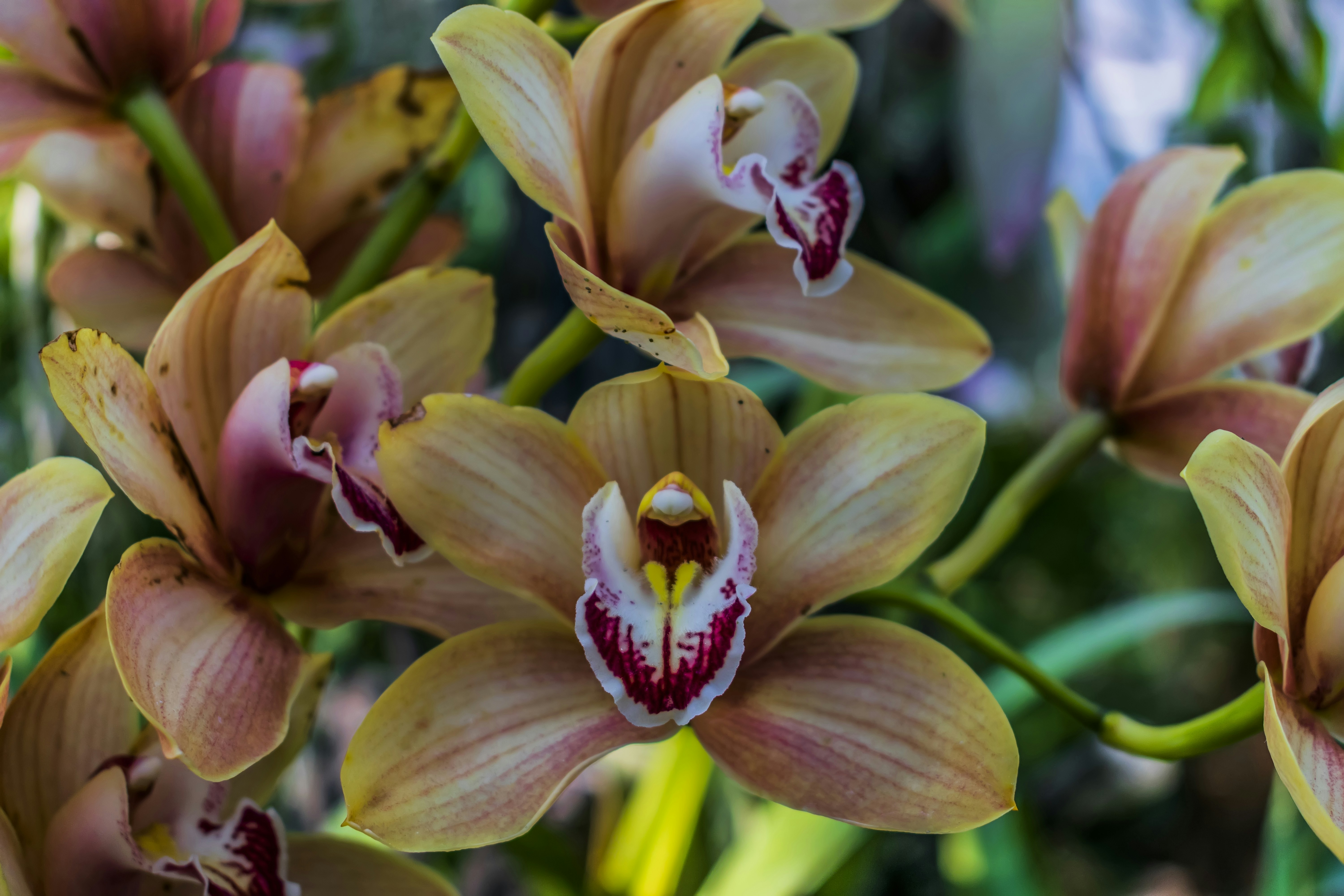 Photo by kostiantynvierkieiev