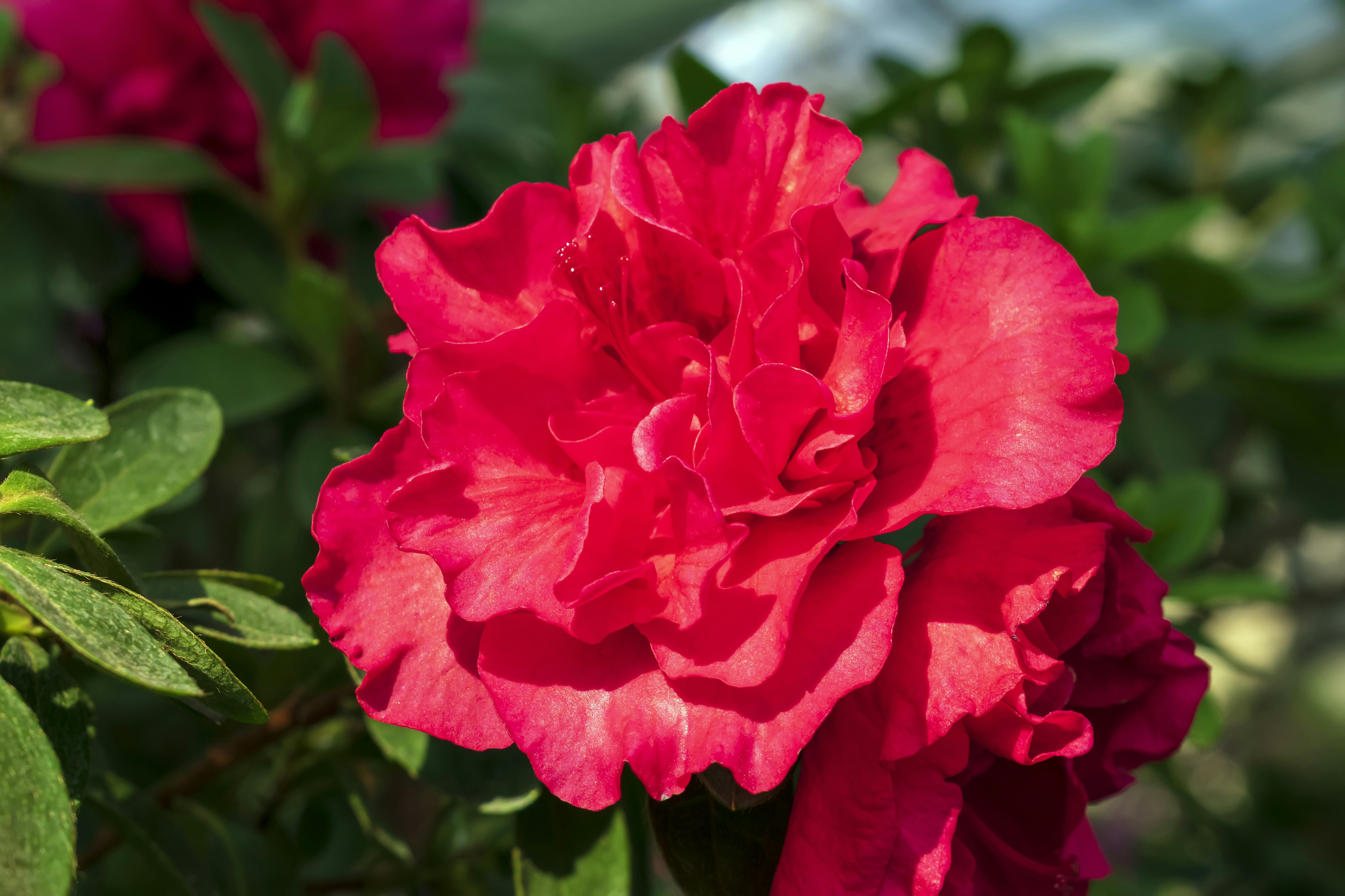 Photo by kostiantynvierkieiev