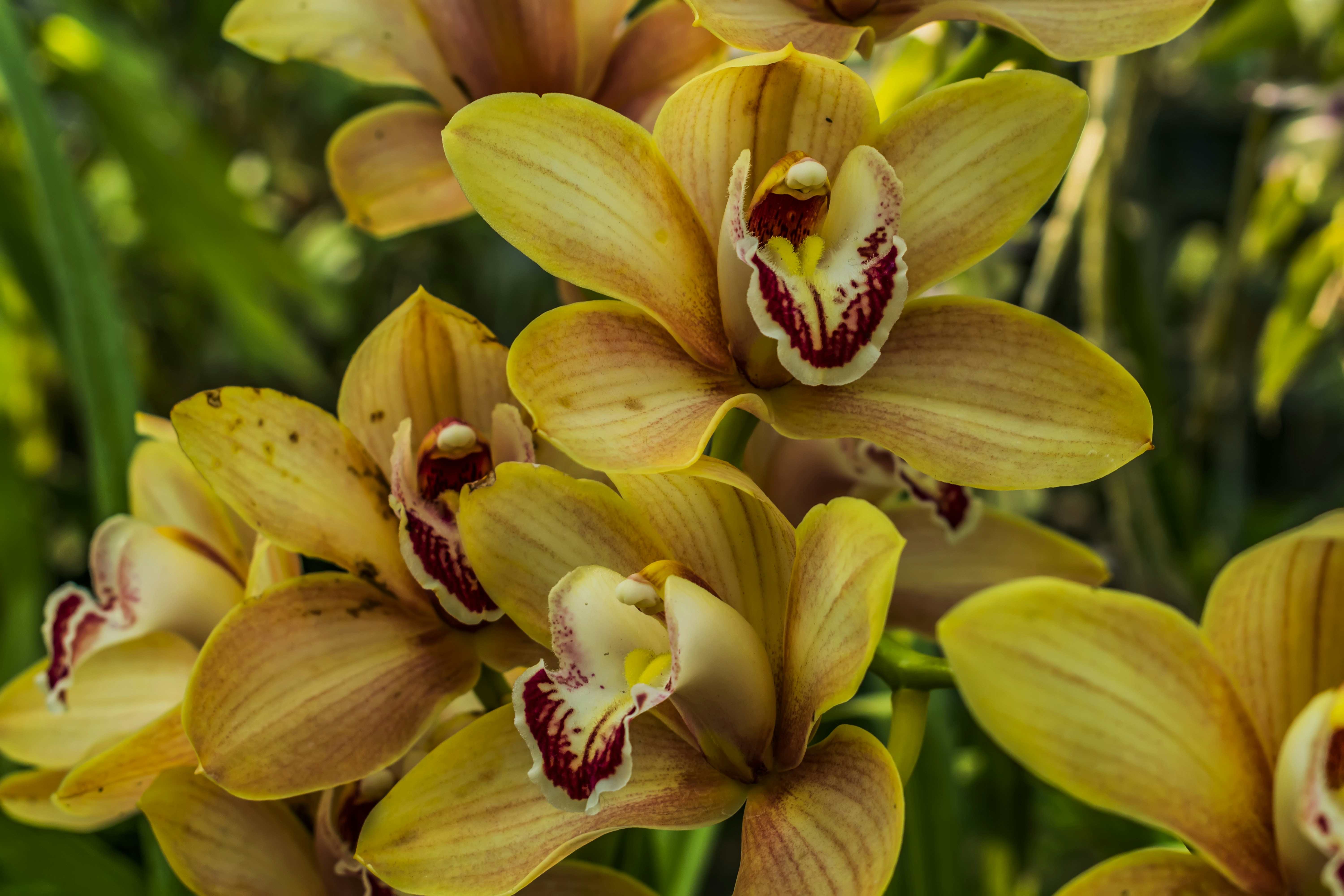 Photo by kostiantynvierkieiev