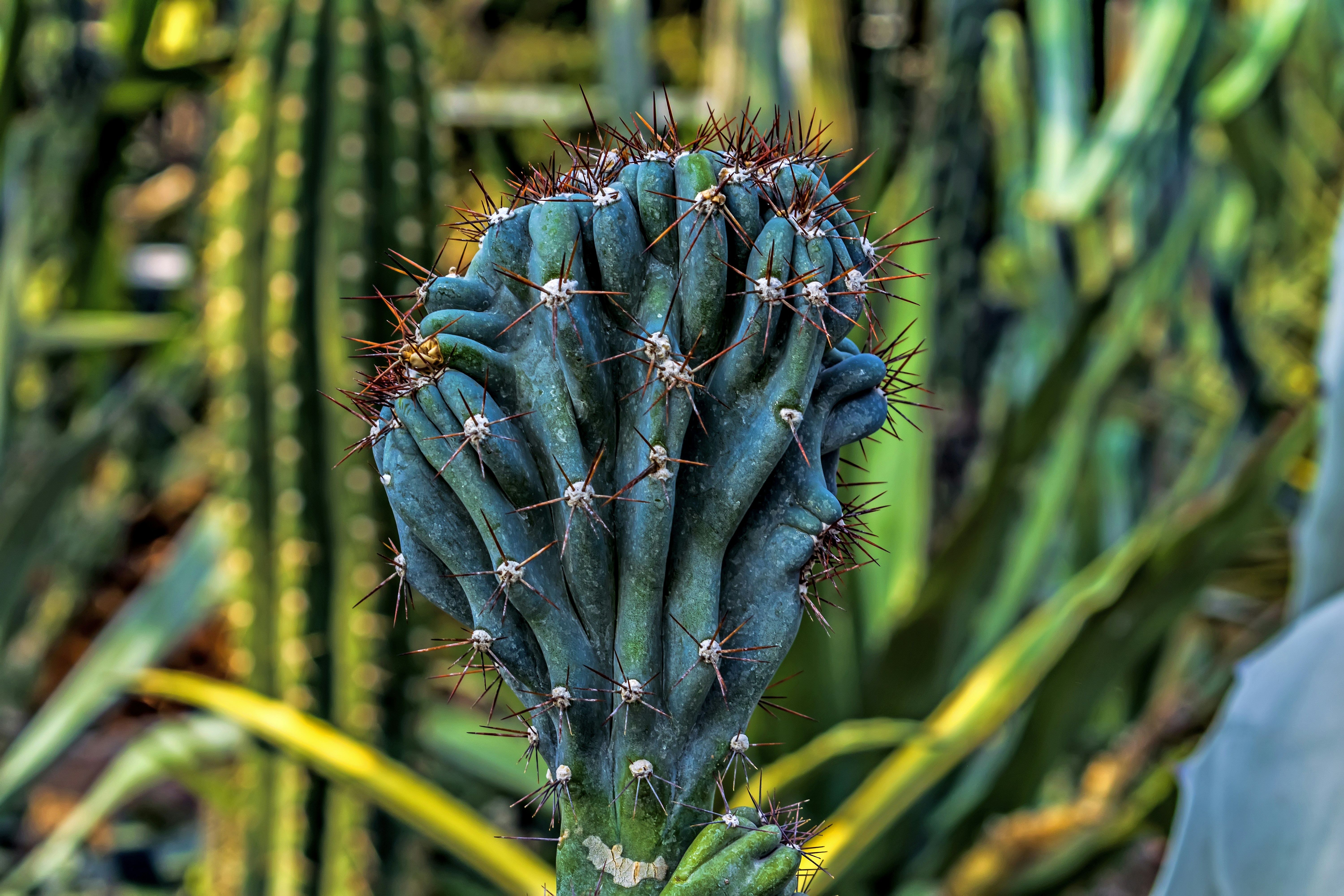 Photo by kostiantynvierkieiev