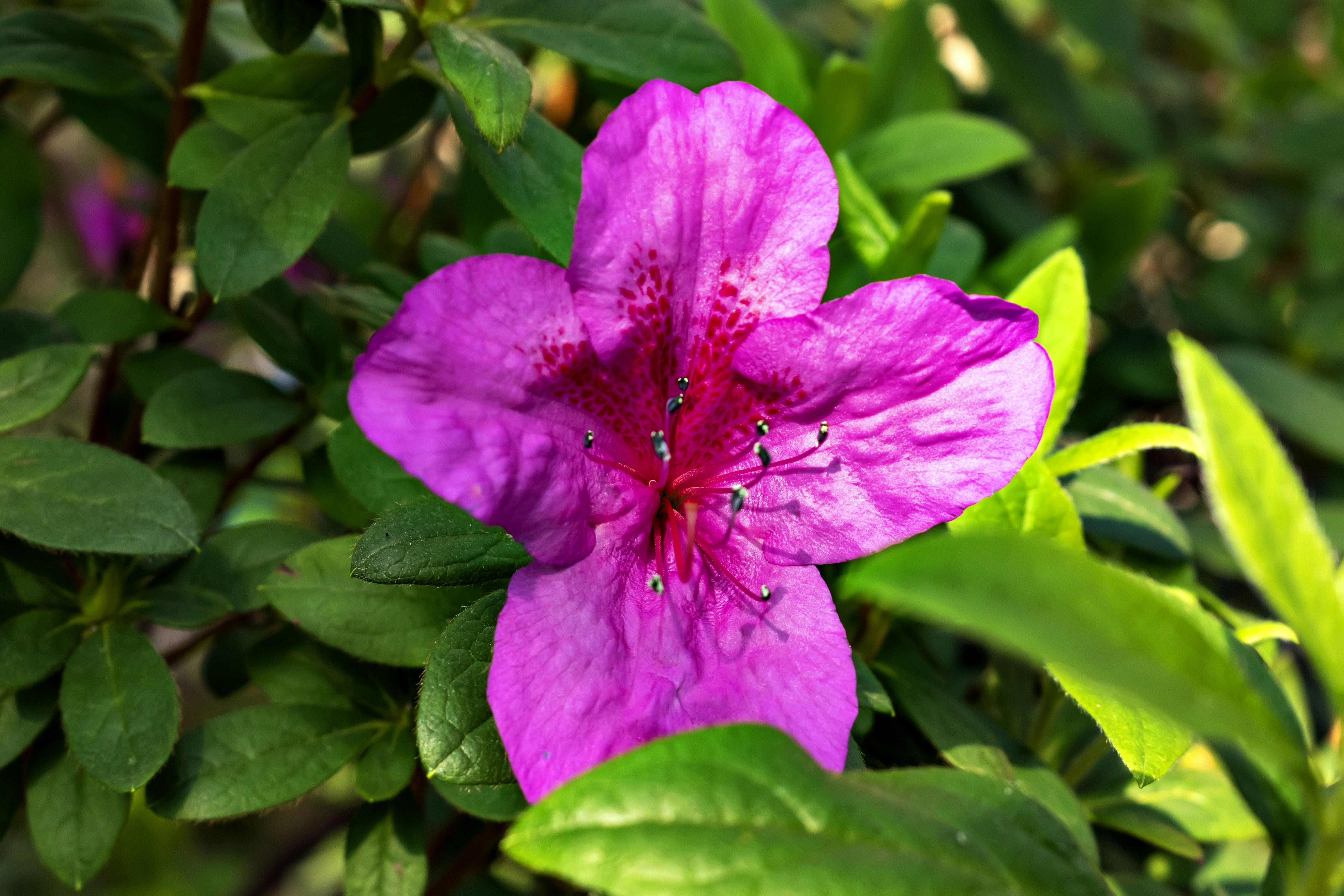 Photo by kostiantynvierkieiev