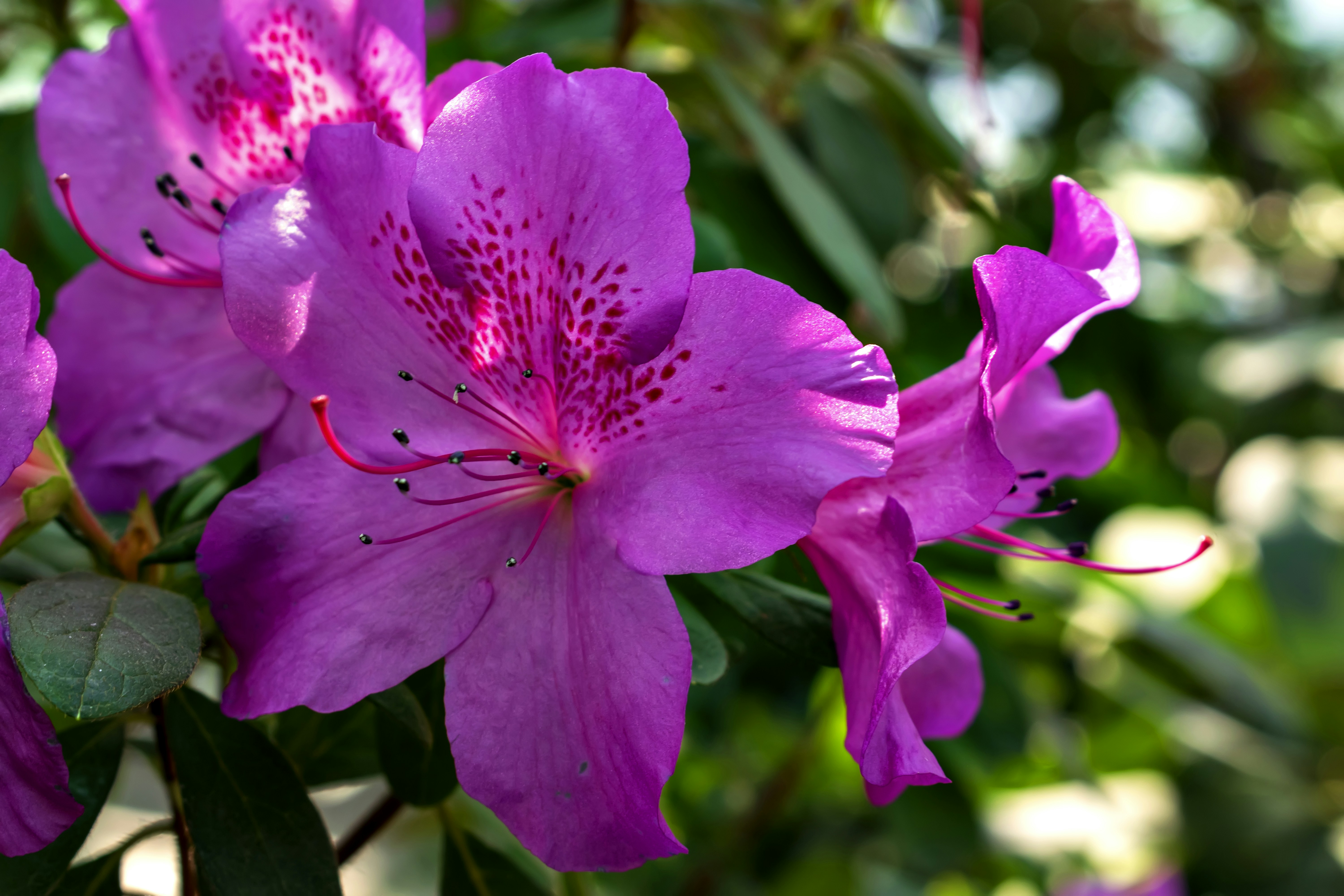 Photo by kostiantynvierkieiev