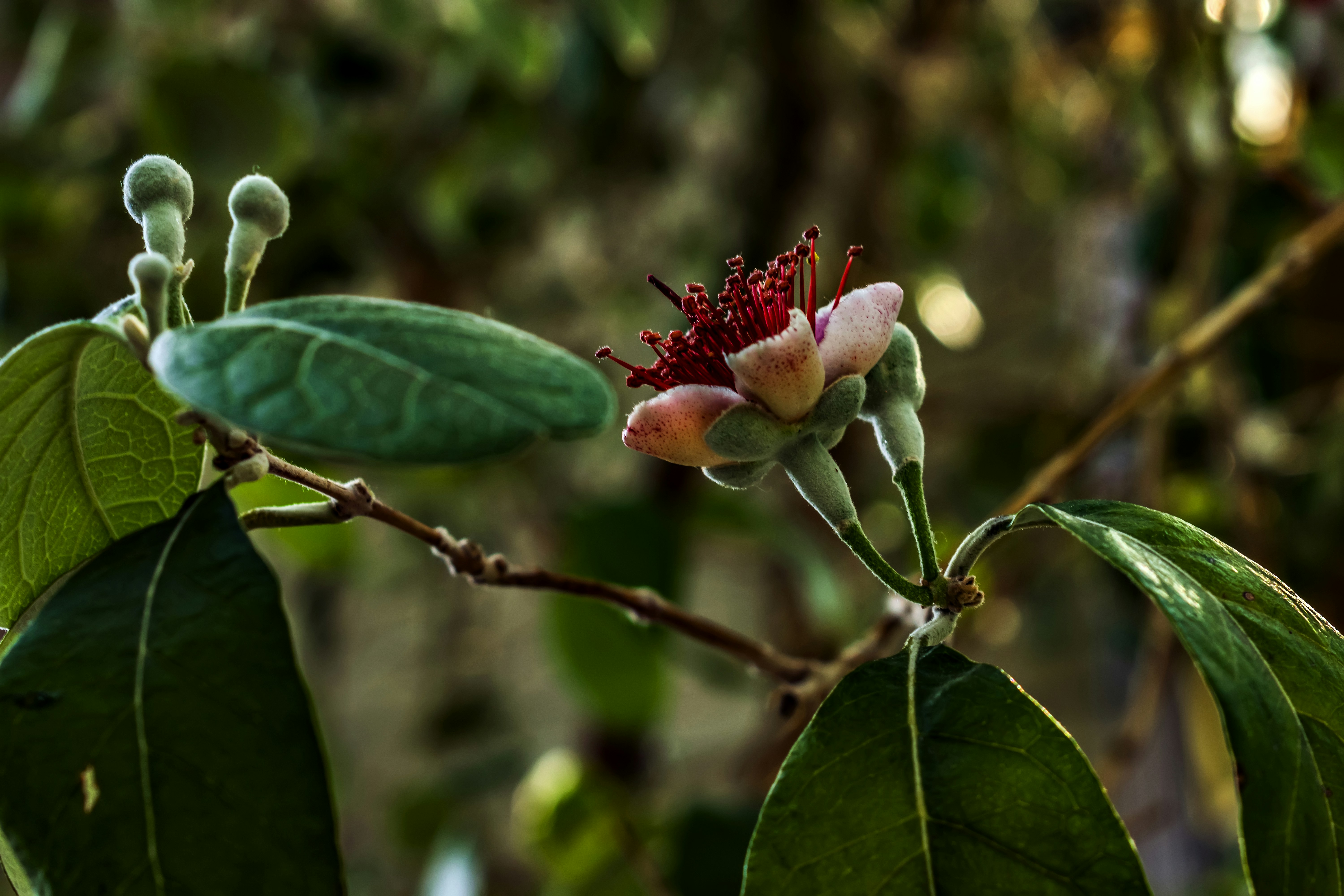 Photo by kostiantynvierkieiev