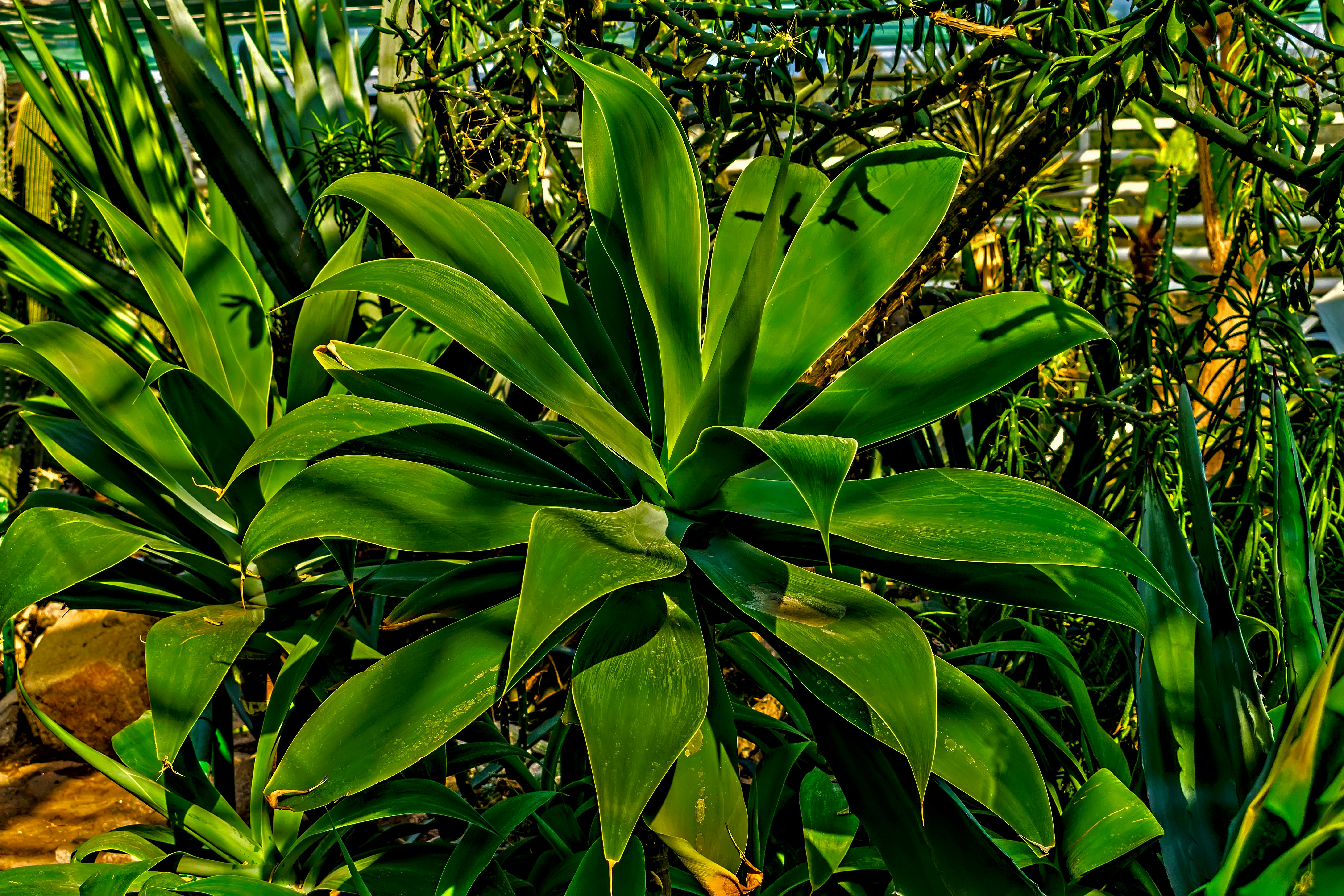 Principaux cas d'utilisation de l'IA pour optimiser les opérations commerciales