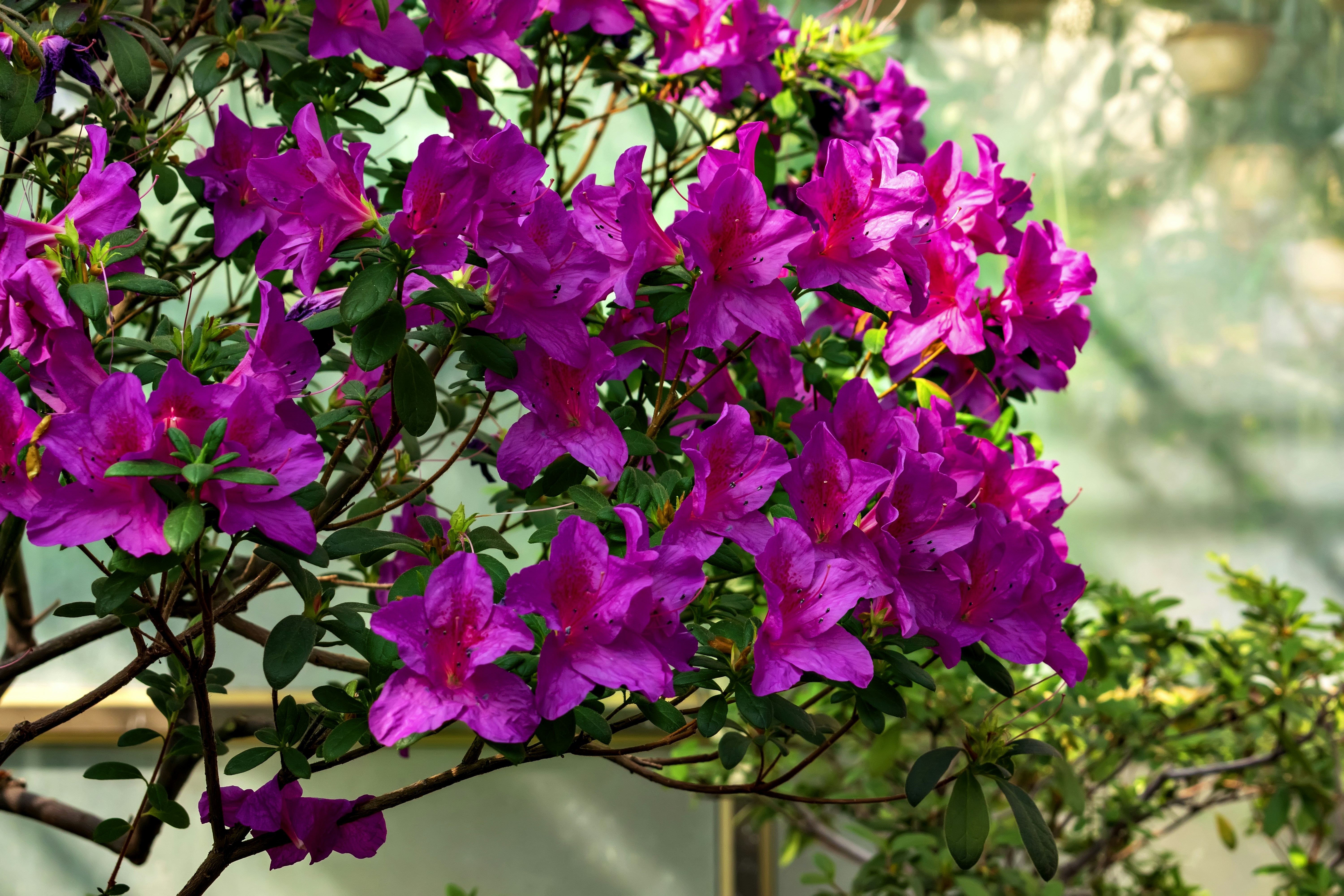 Photo by kostiantynvierkieiev