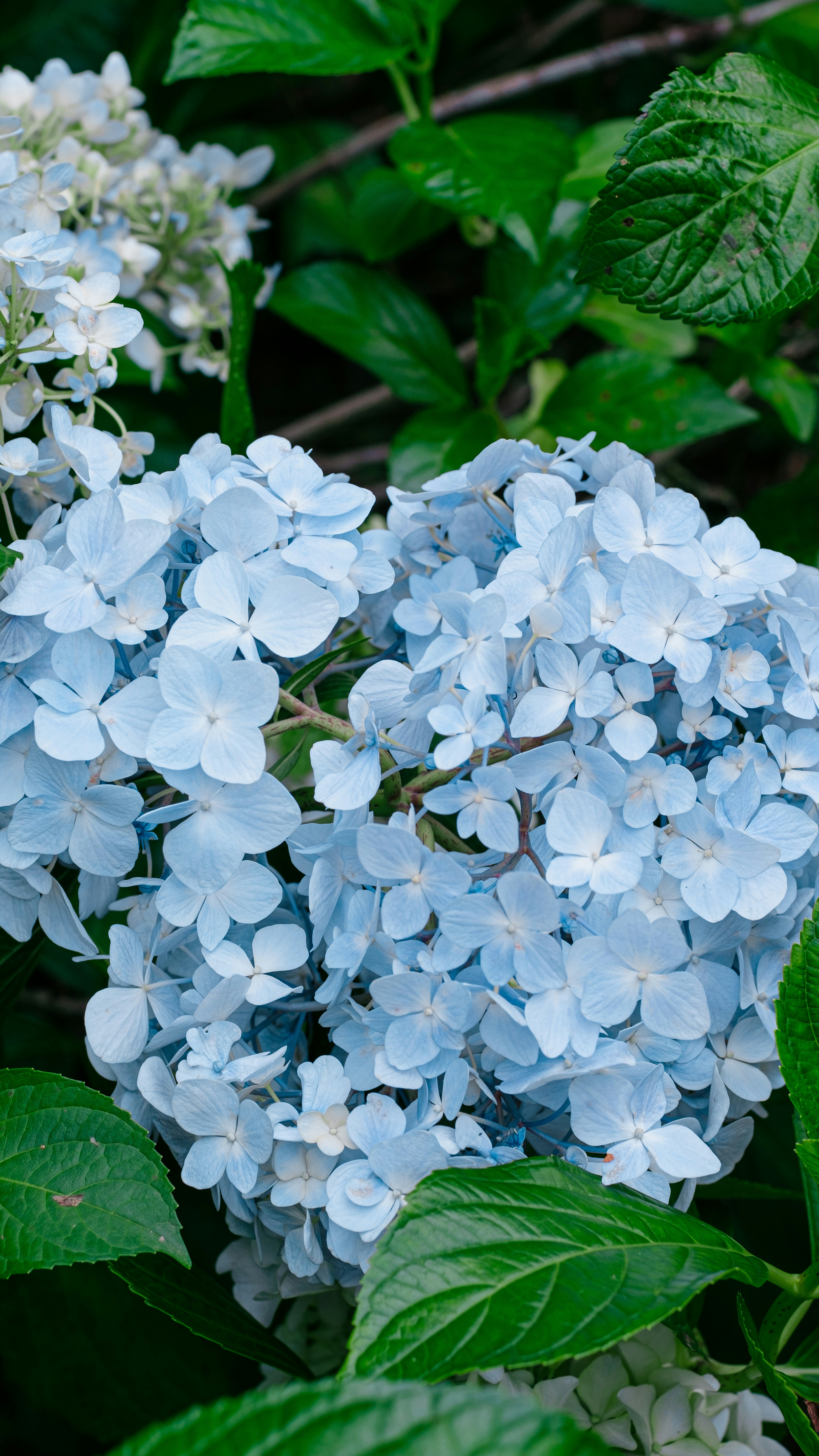 Photo by xiexianghua