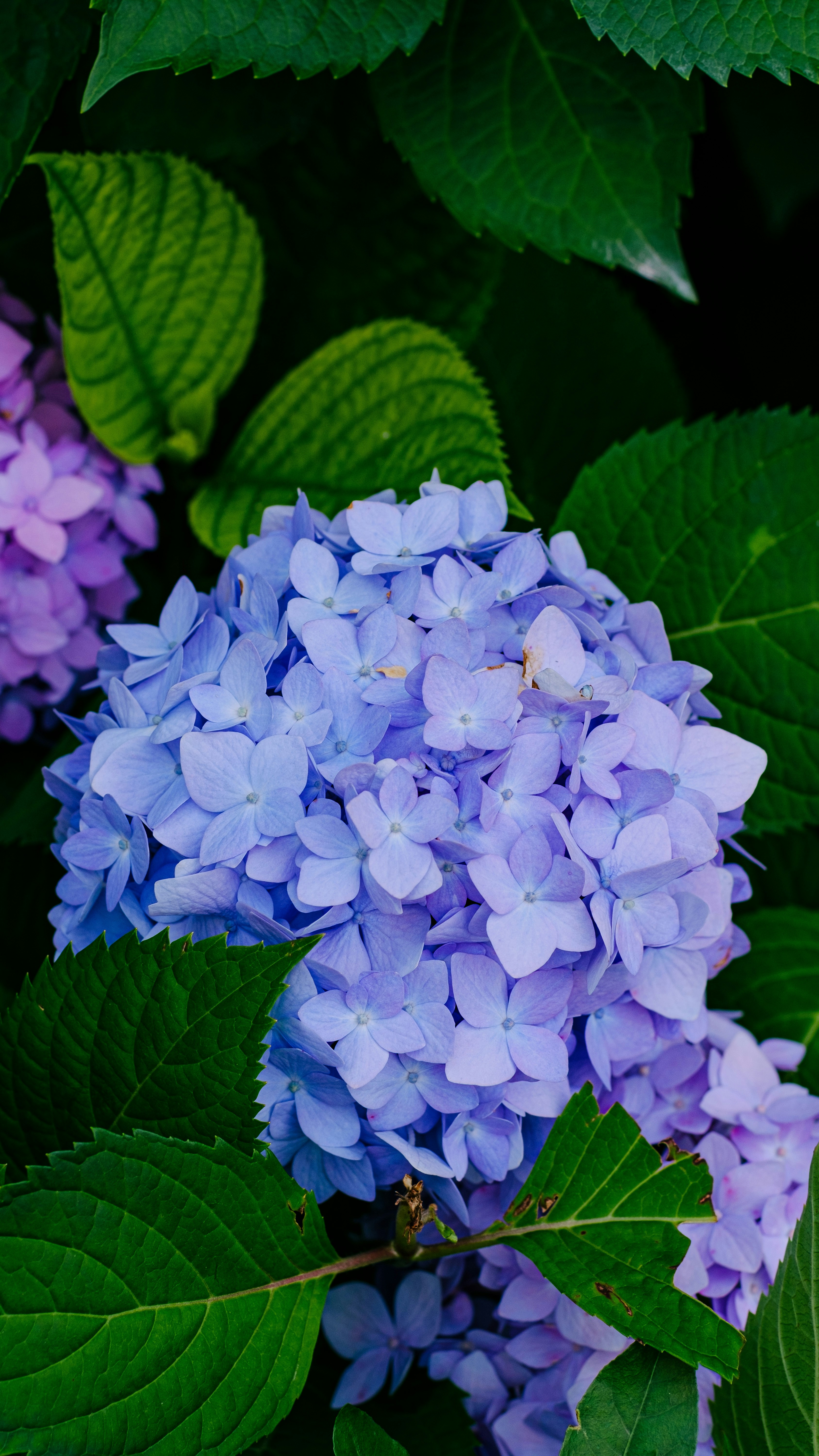 Photo by xiexianghua