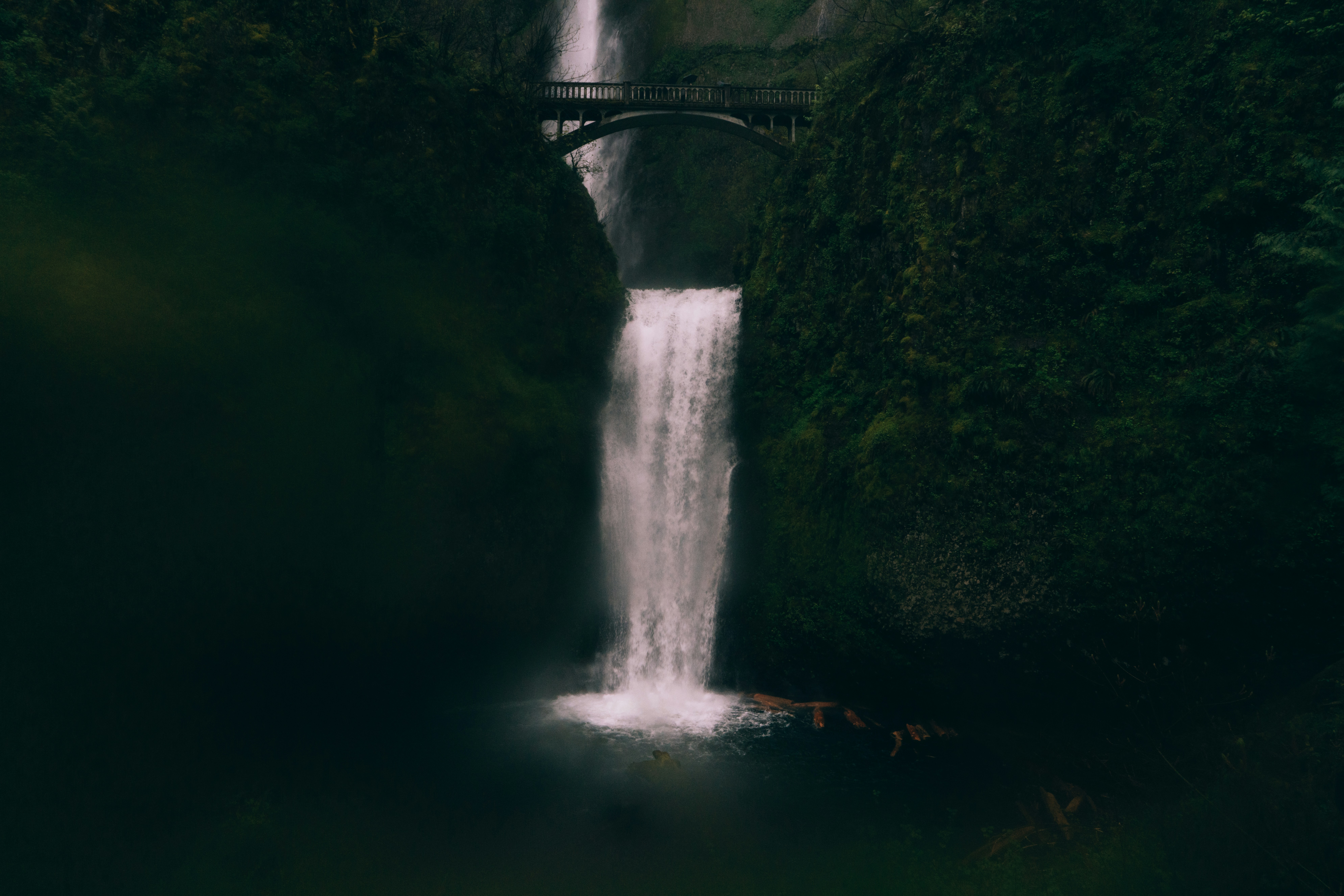 Photo by rosalindjchang