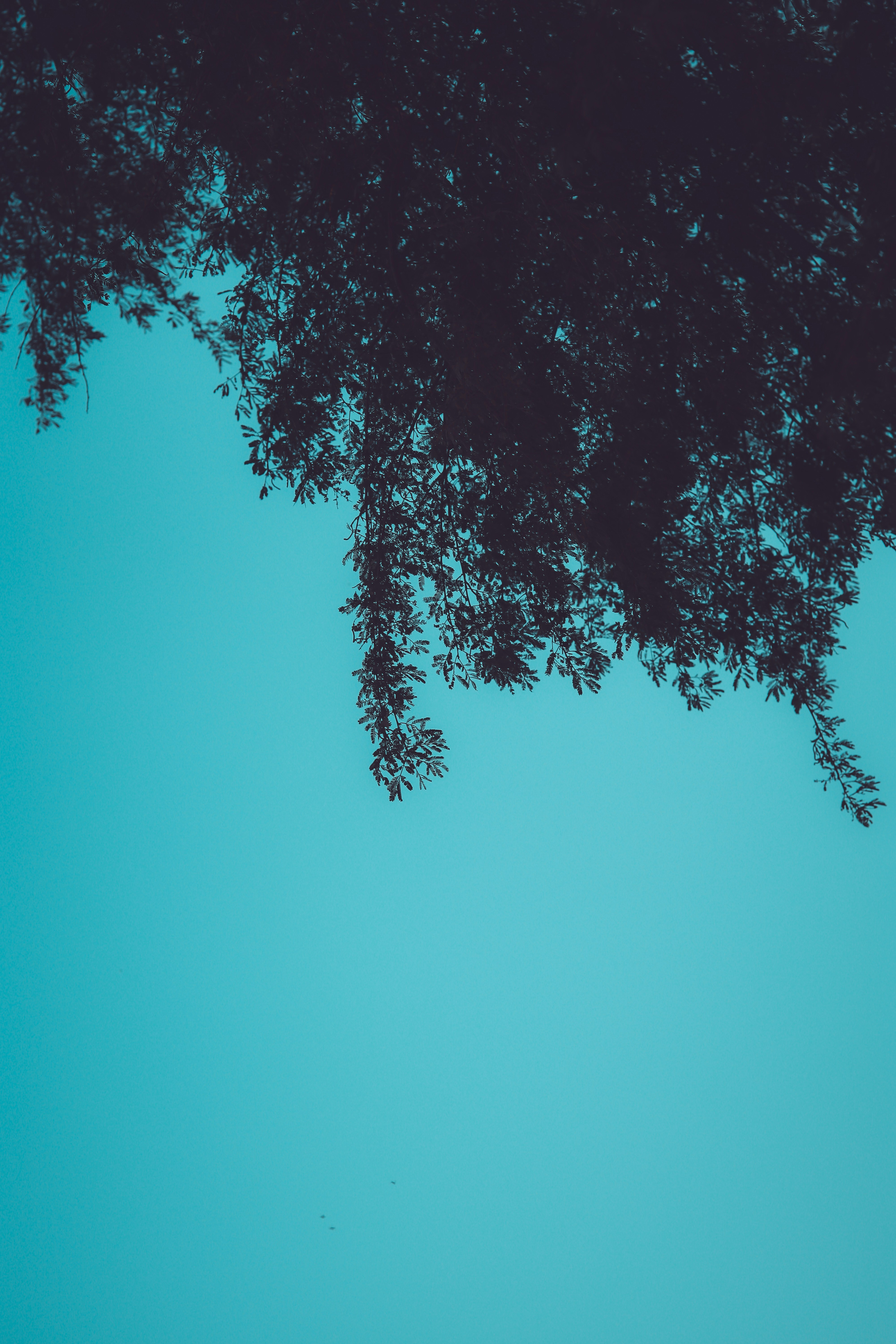 Photo by abdullaharain