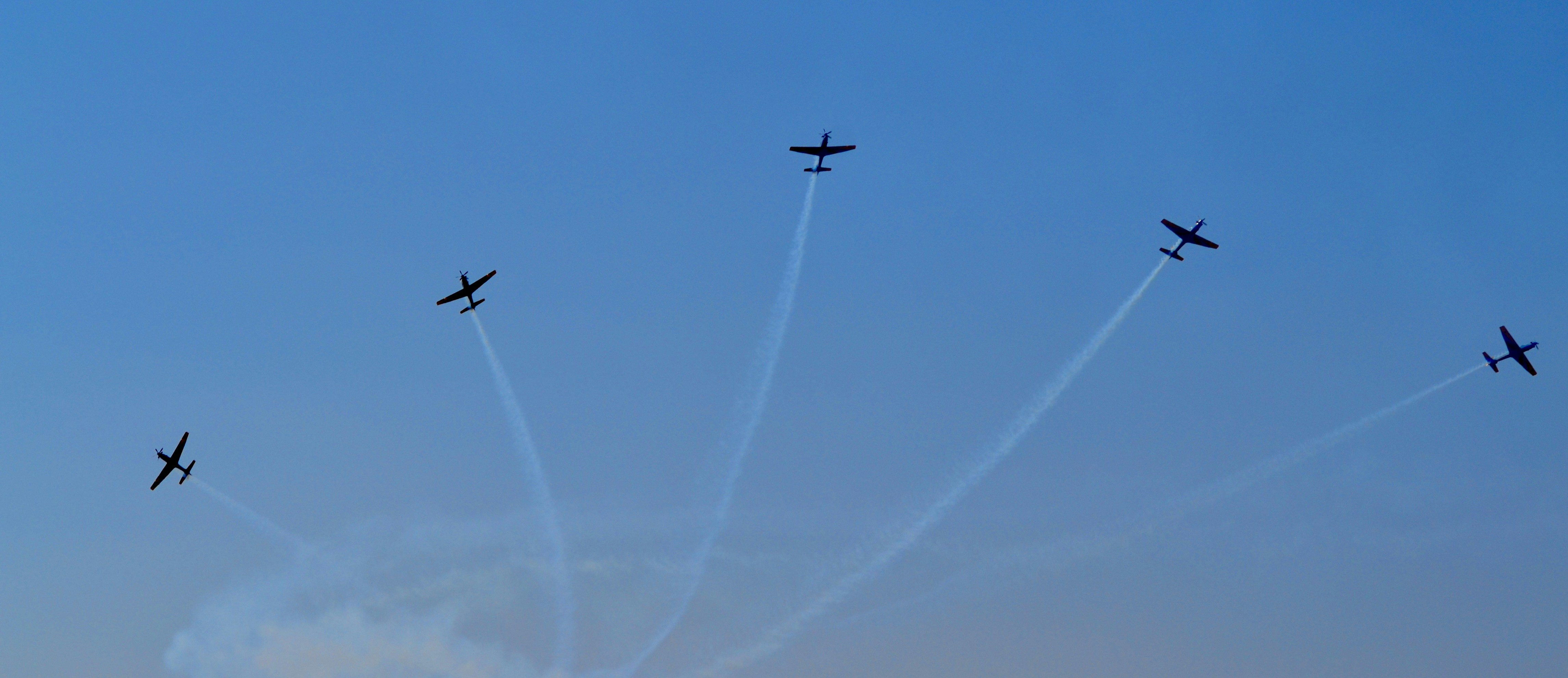 Photo by mauricvillalob