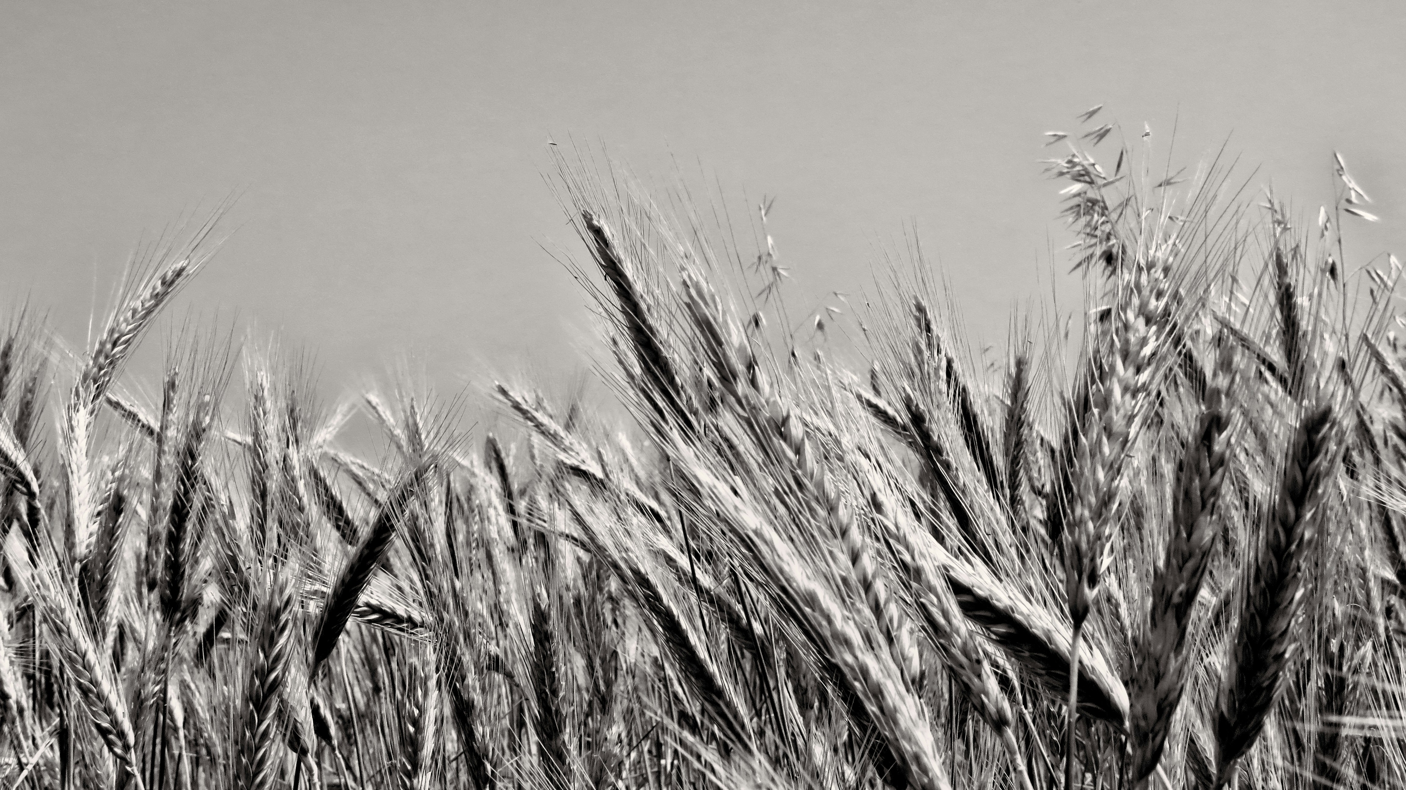 Photo by thewisdom689