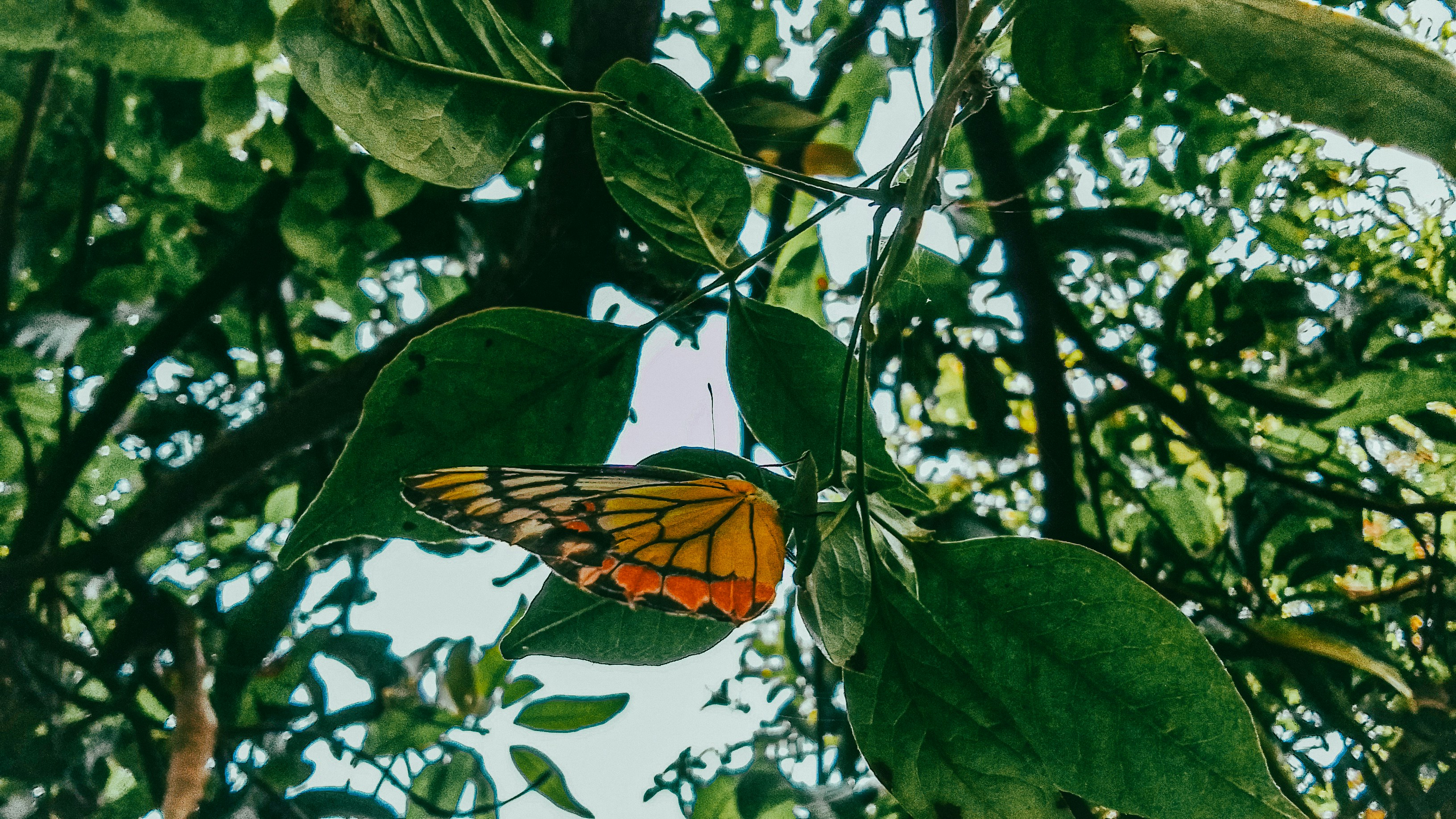 Photo by imjainishpatel