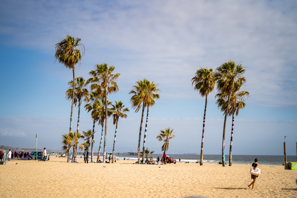 a beach with palm trees and people on it